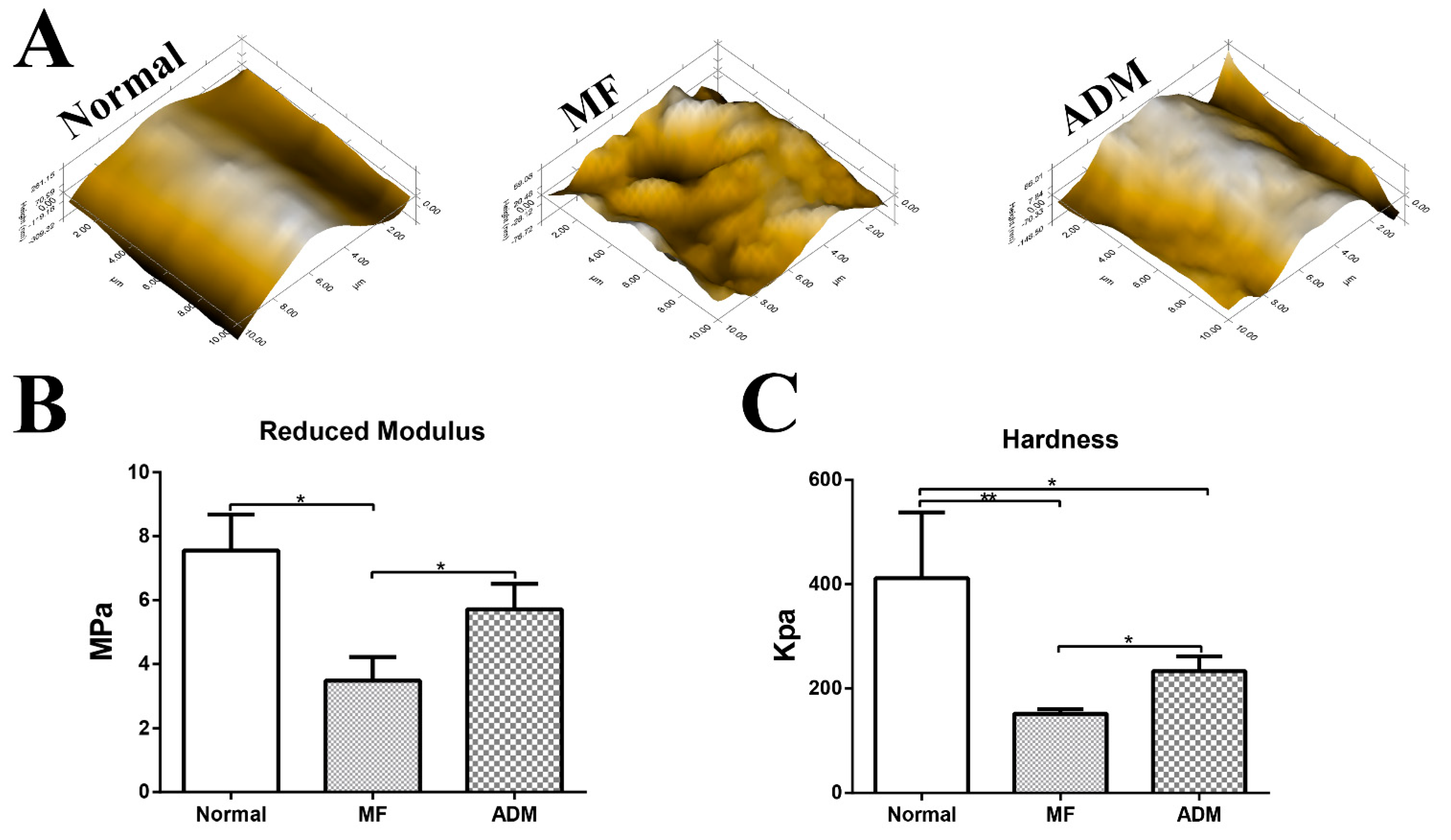 Bioengineering 10 00916 g010 Bioengineering 10 00916 g010