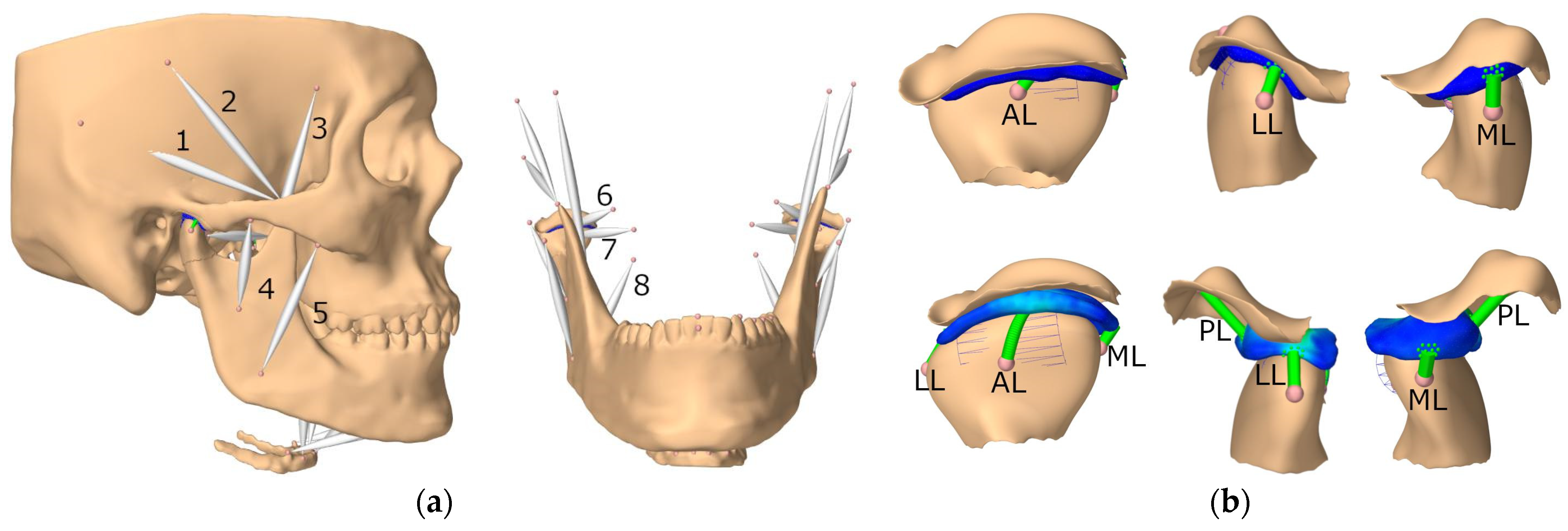 Bioengineering 10 00917 g004 Bioengineering 10 00917 g004
