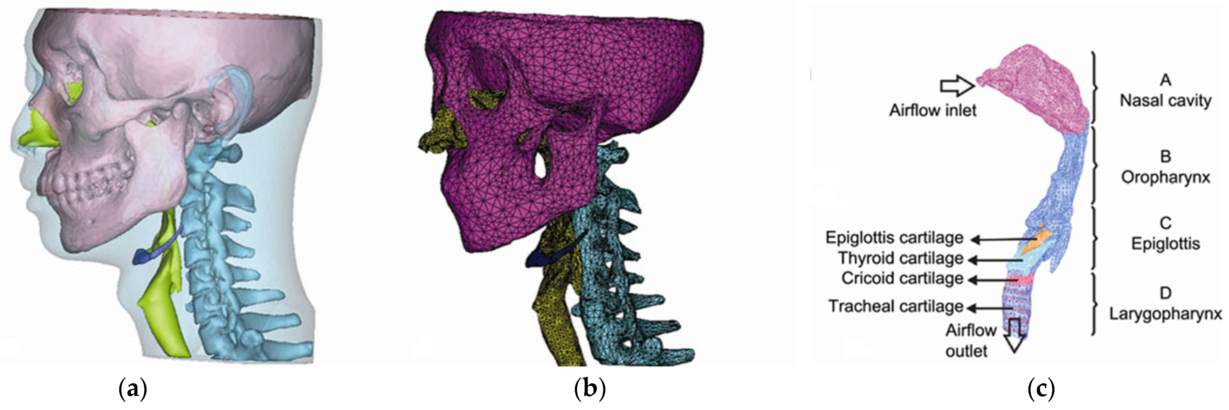Bioengineering 10 00917 g008 Bioengineering 10 00917 g008