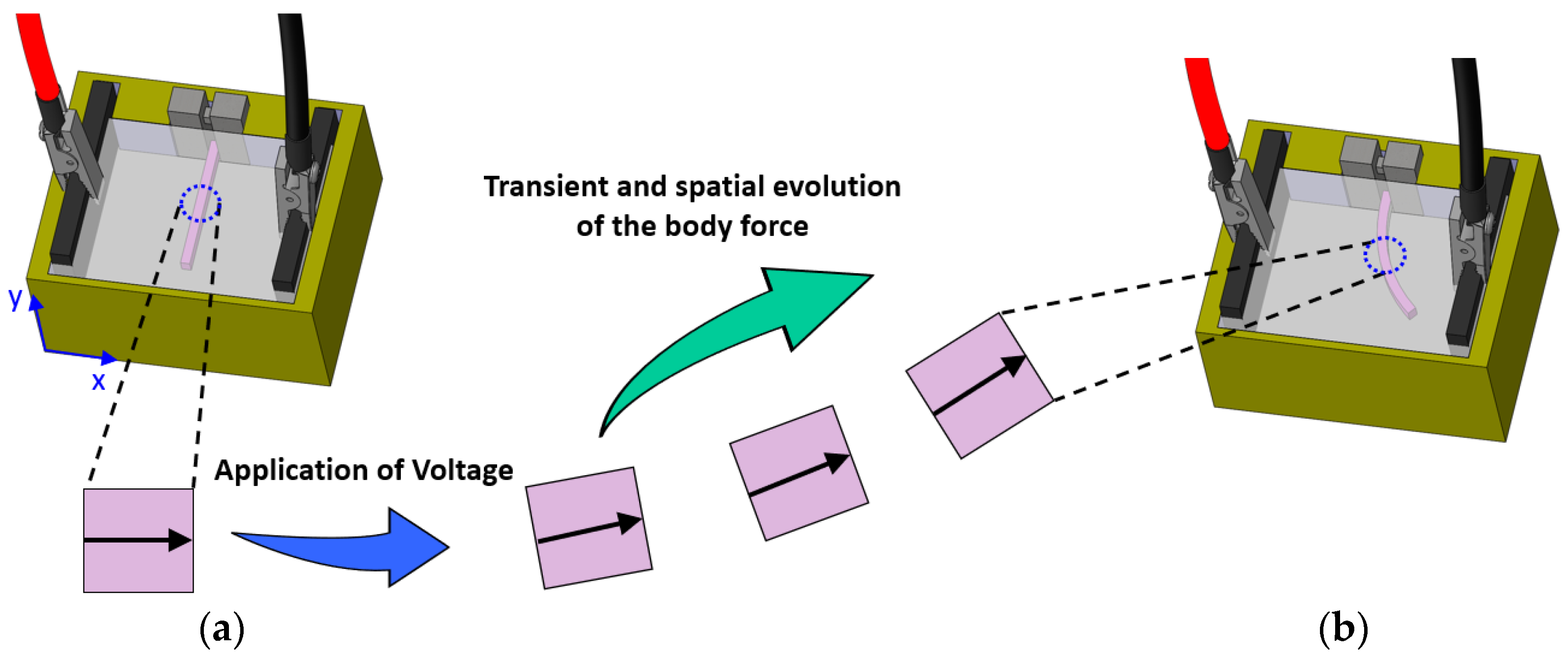 Bioengineering 10 00920 g003 Bioengineering 10 00920 g003