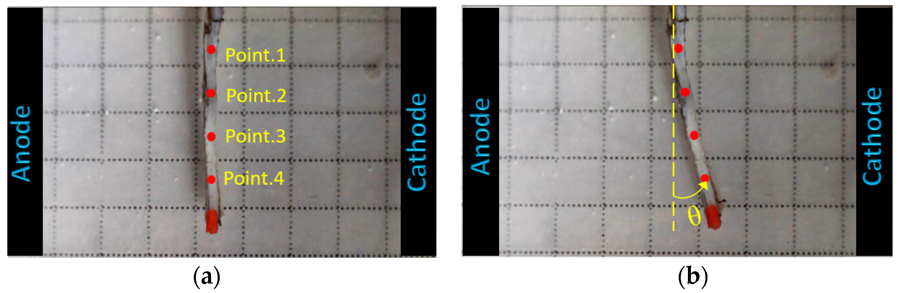 Bioengineering 10 00920 g004 Bioengineering 10 00920 g004