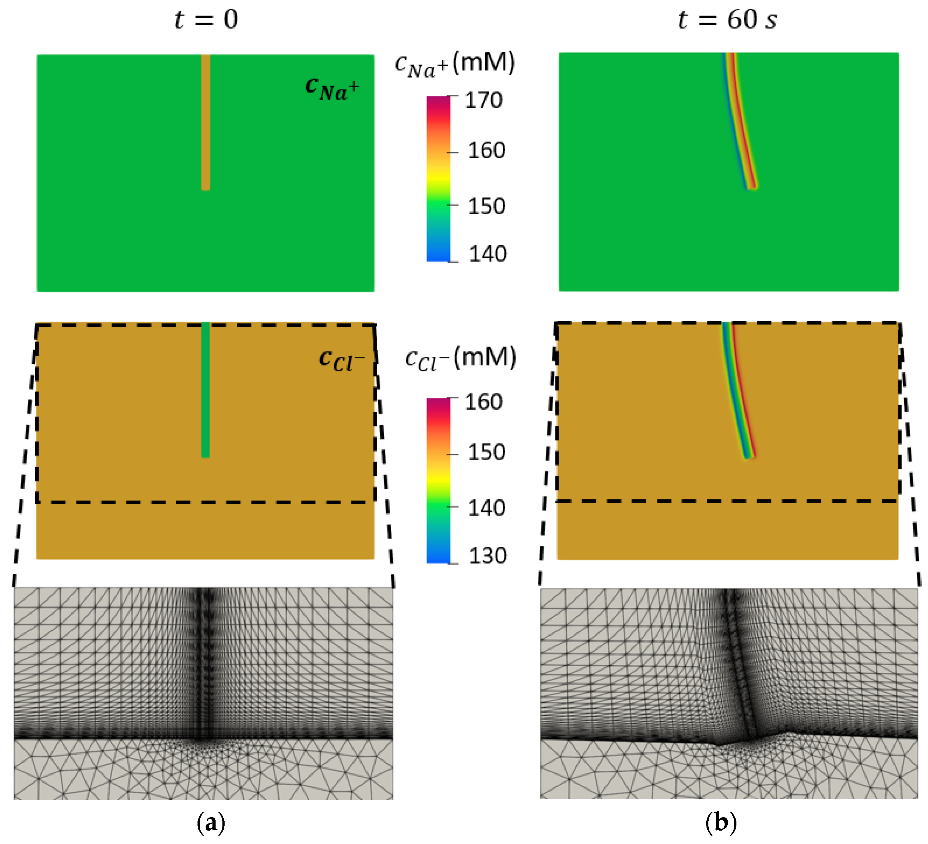 Bioengineering 10 00920 g007 Bioengineering 10 00920 g007