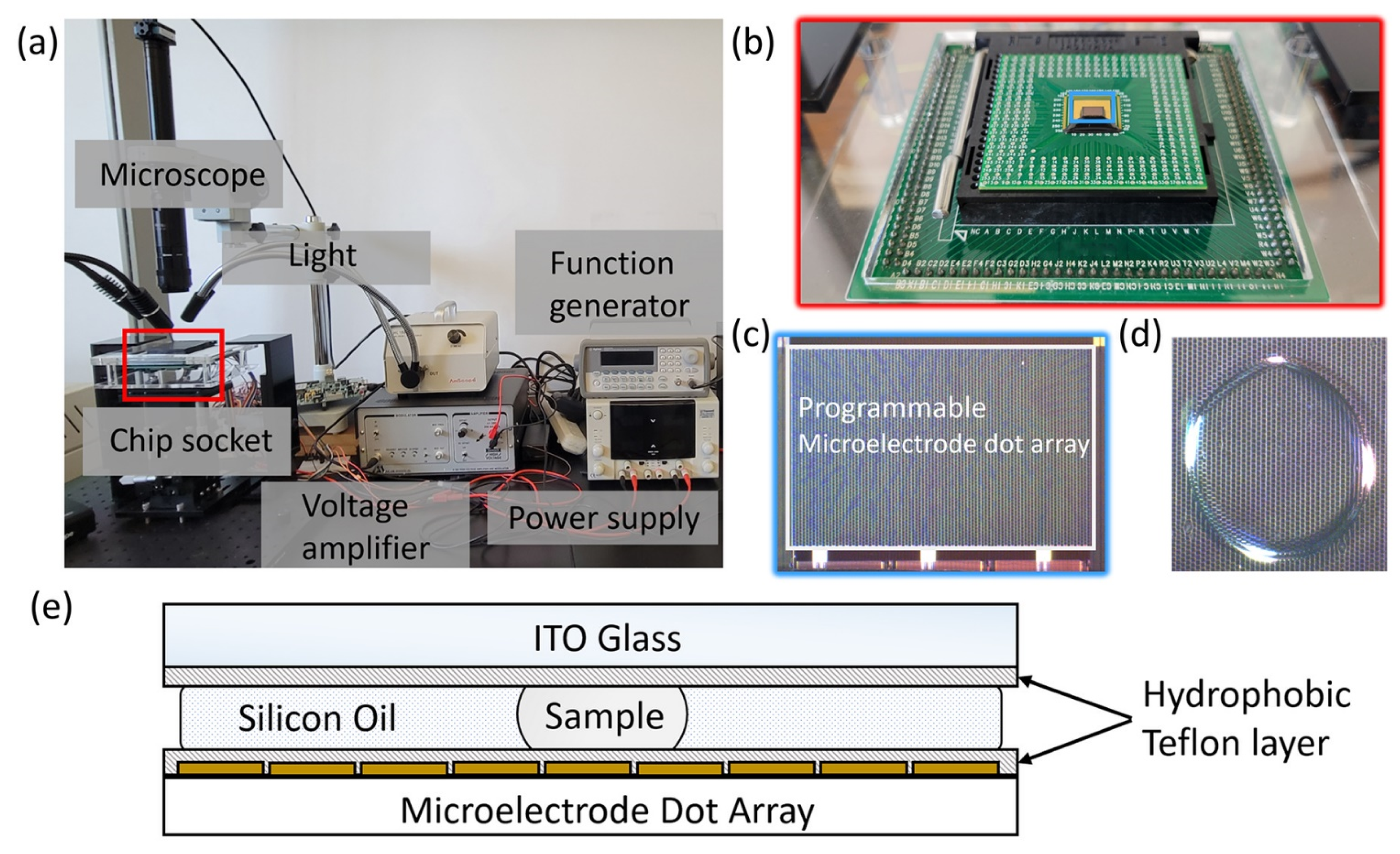 Bioengineering 10 00923 g001