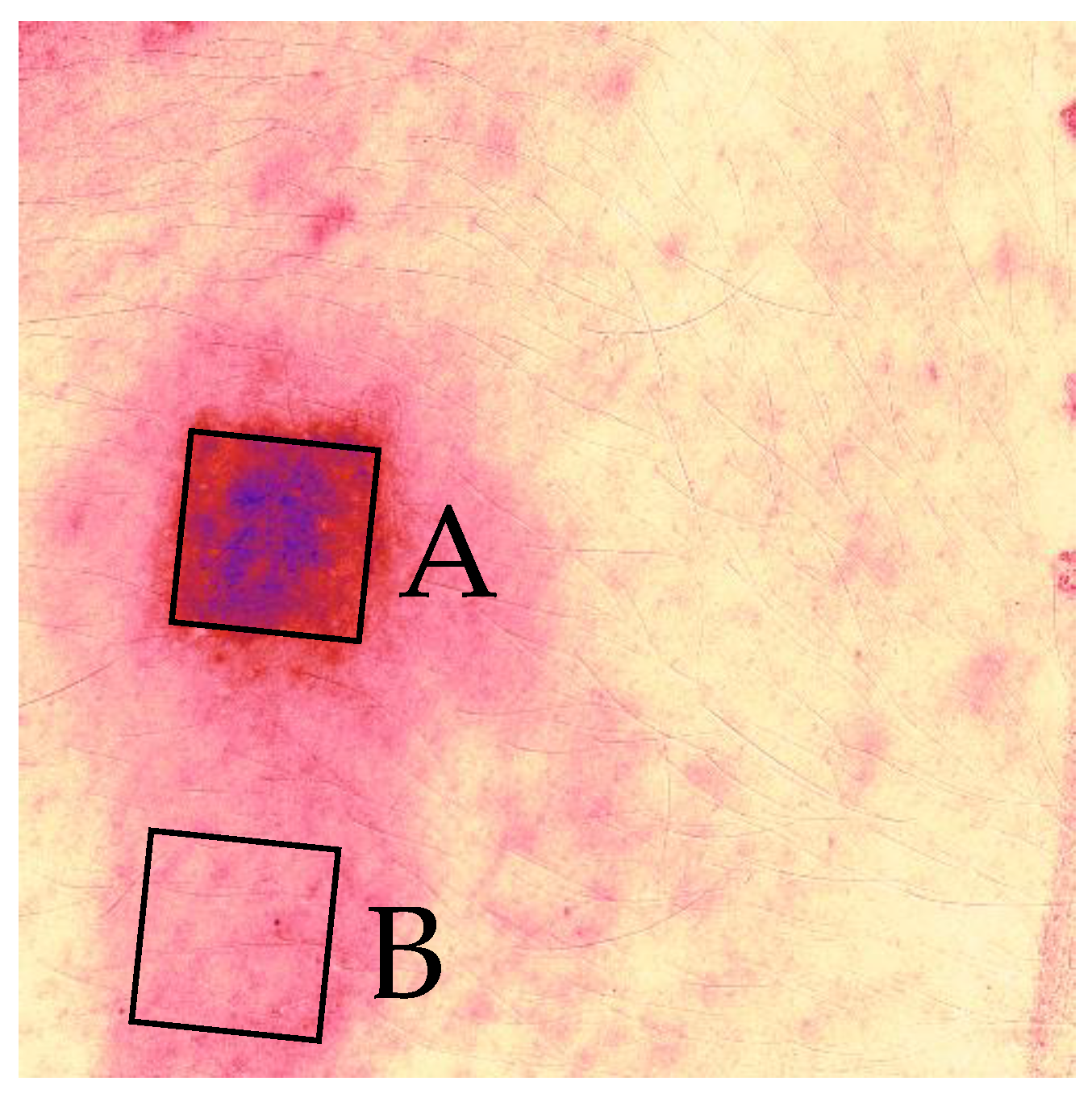 Bioengineering 10 00924 g004