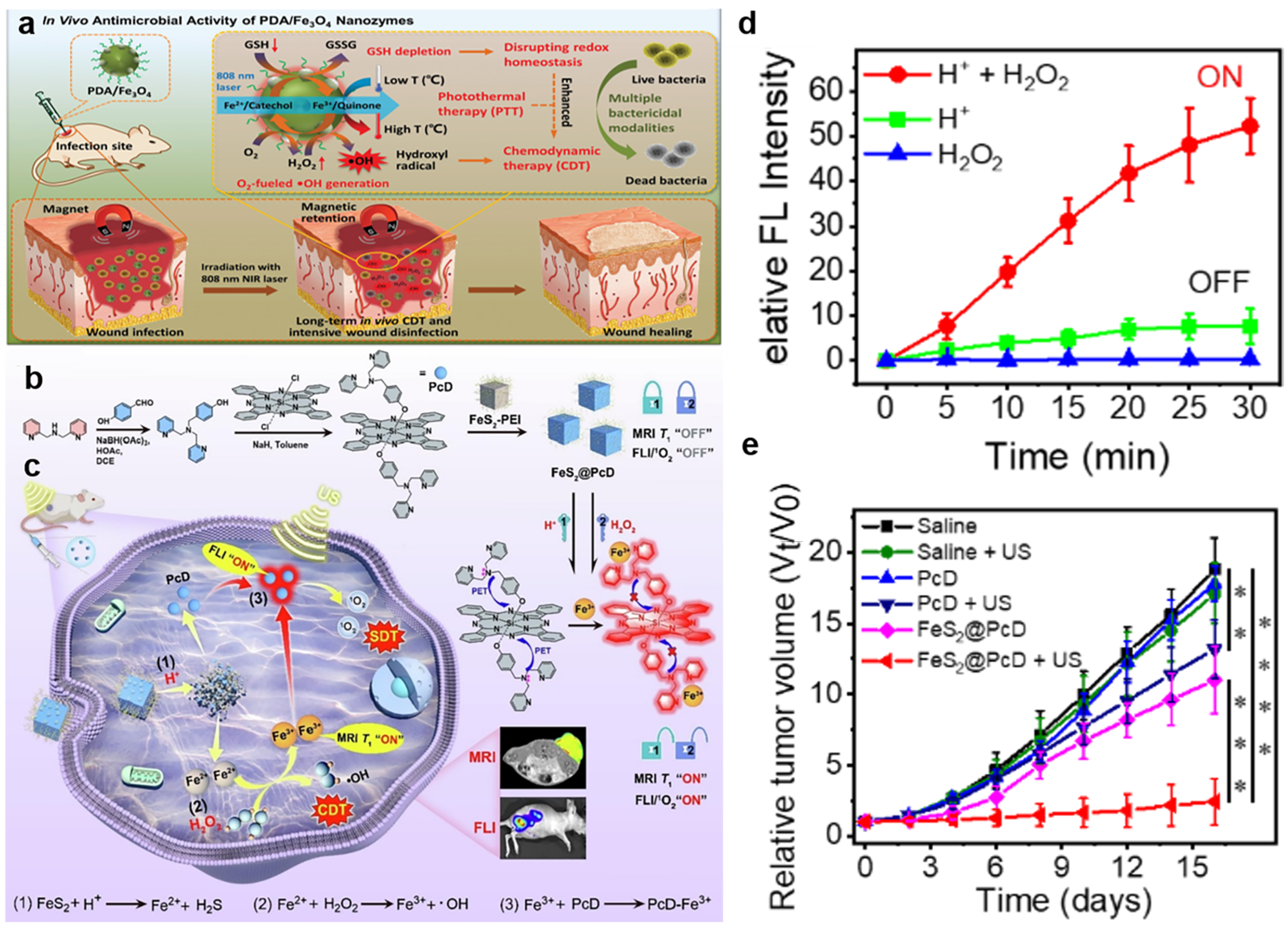 Bioengineering 10 00925 g001 Bioengineering 10 00925 g001