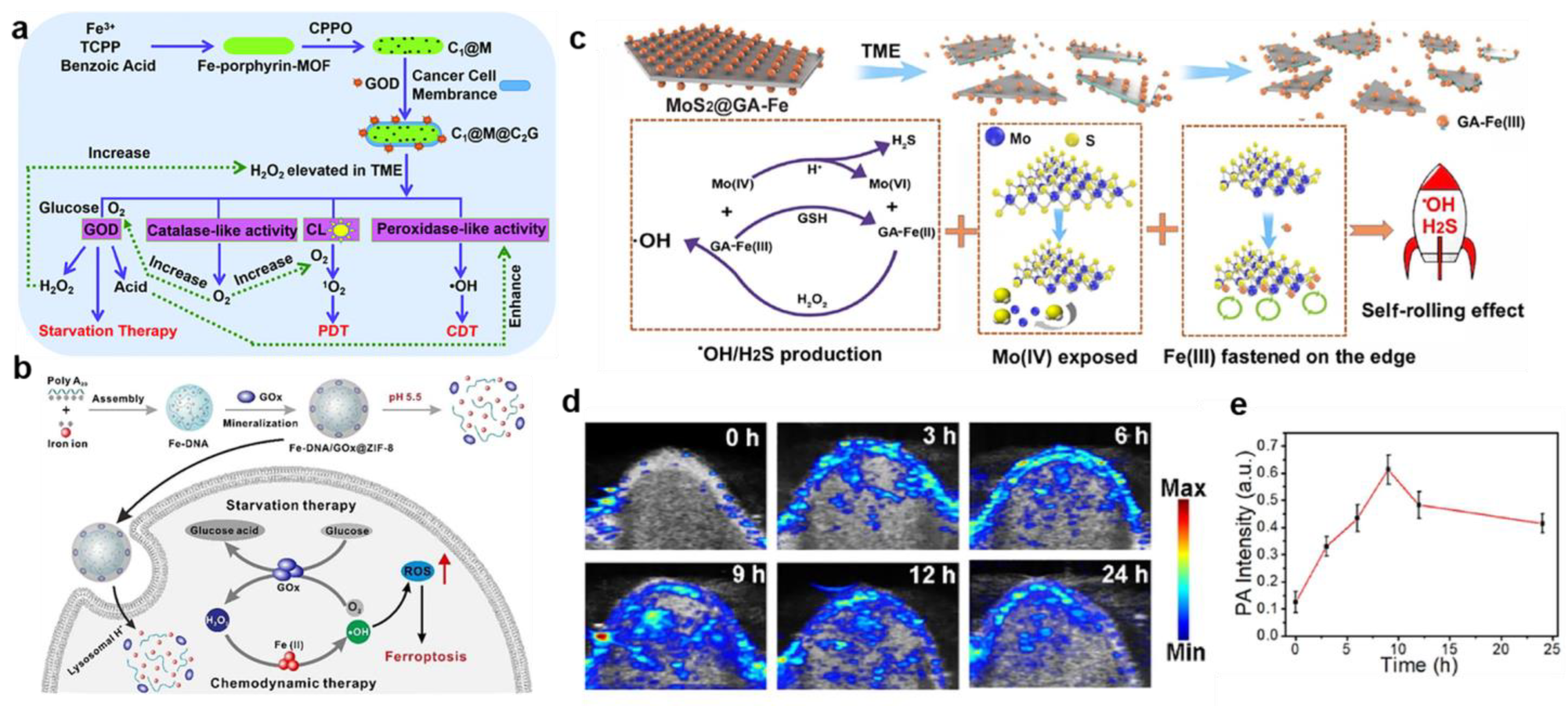 Bioengineering 10 00925 g002 Bioengineering 10 00925 g002
