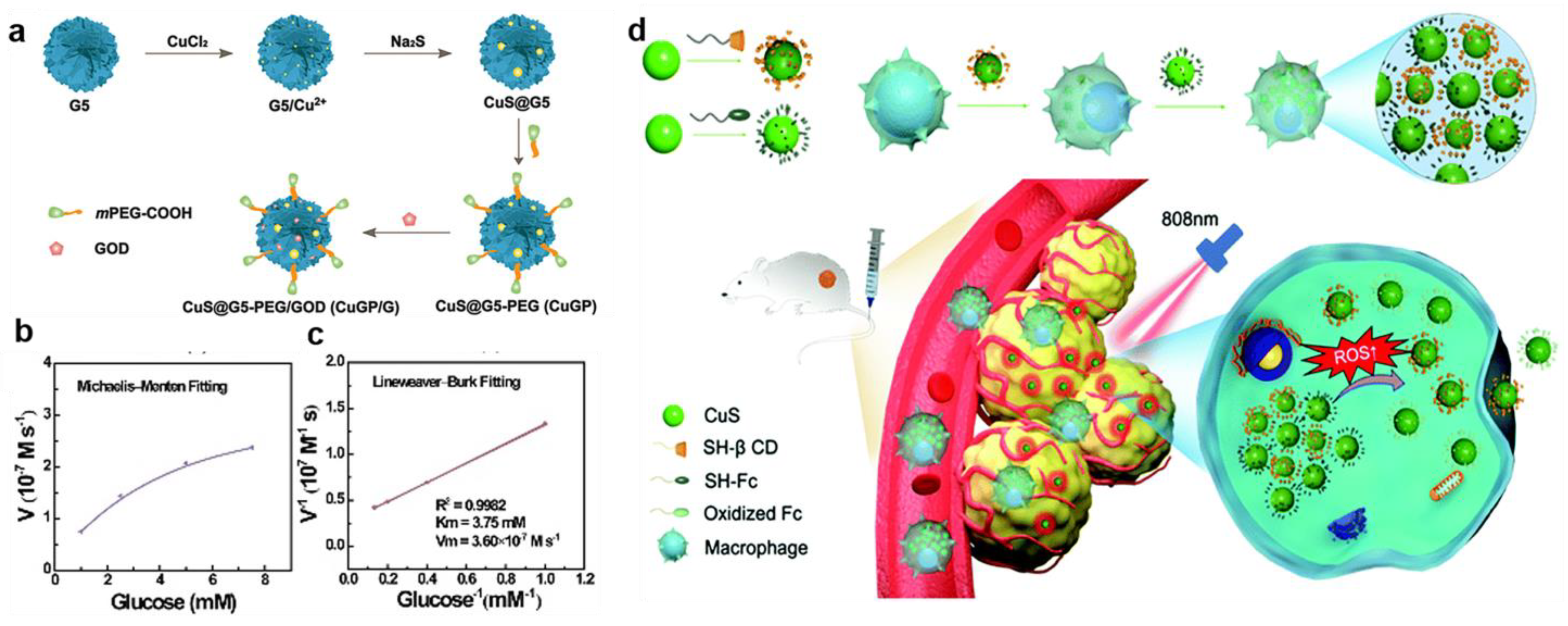 Bioengineering 10 00925 g003 Bioengineering 10 00925 g003