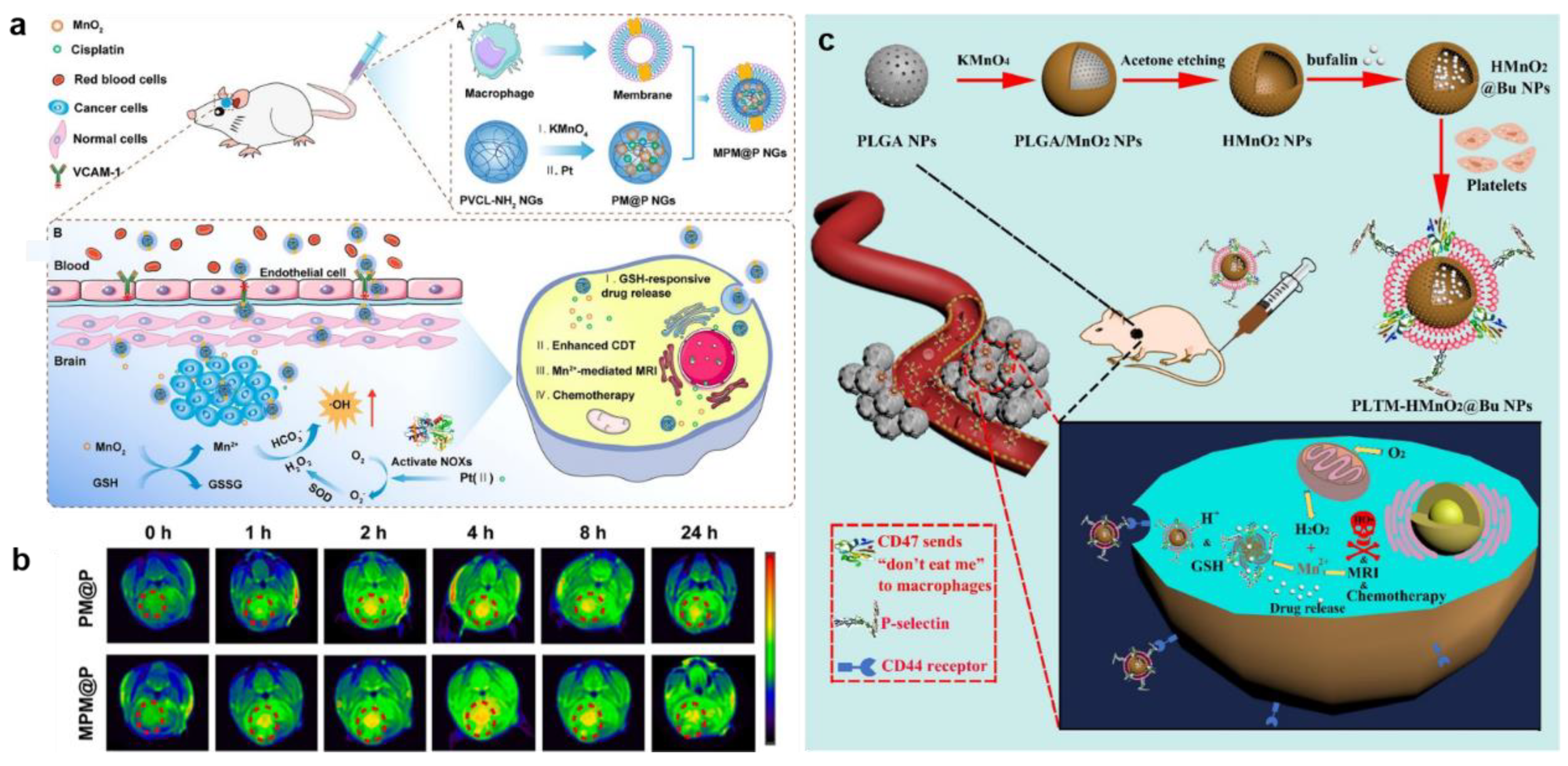 Bioengineering 10 00925 g005 Bioengineering 10 00925 g005