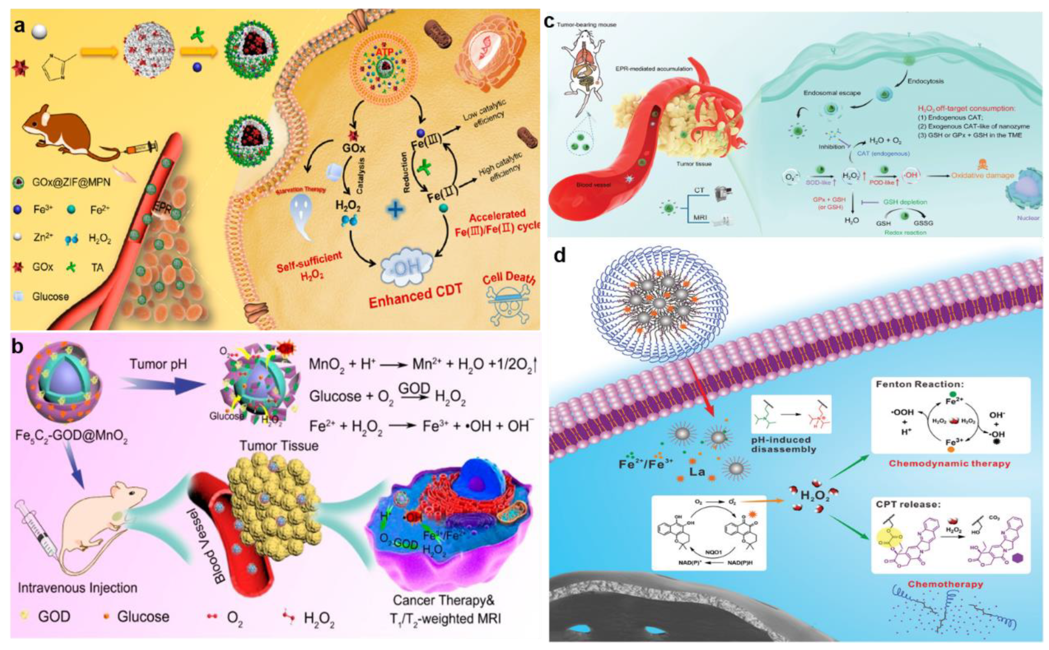 Bioengineering 10 00925 g006 Bioengineering 10 00925 g006