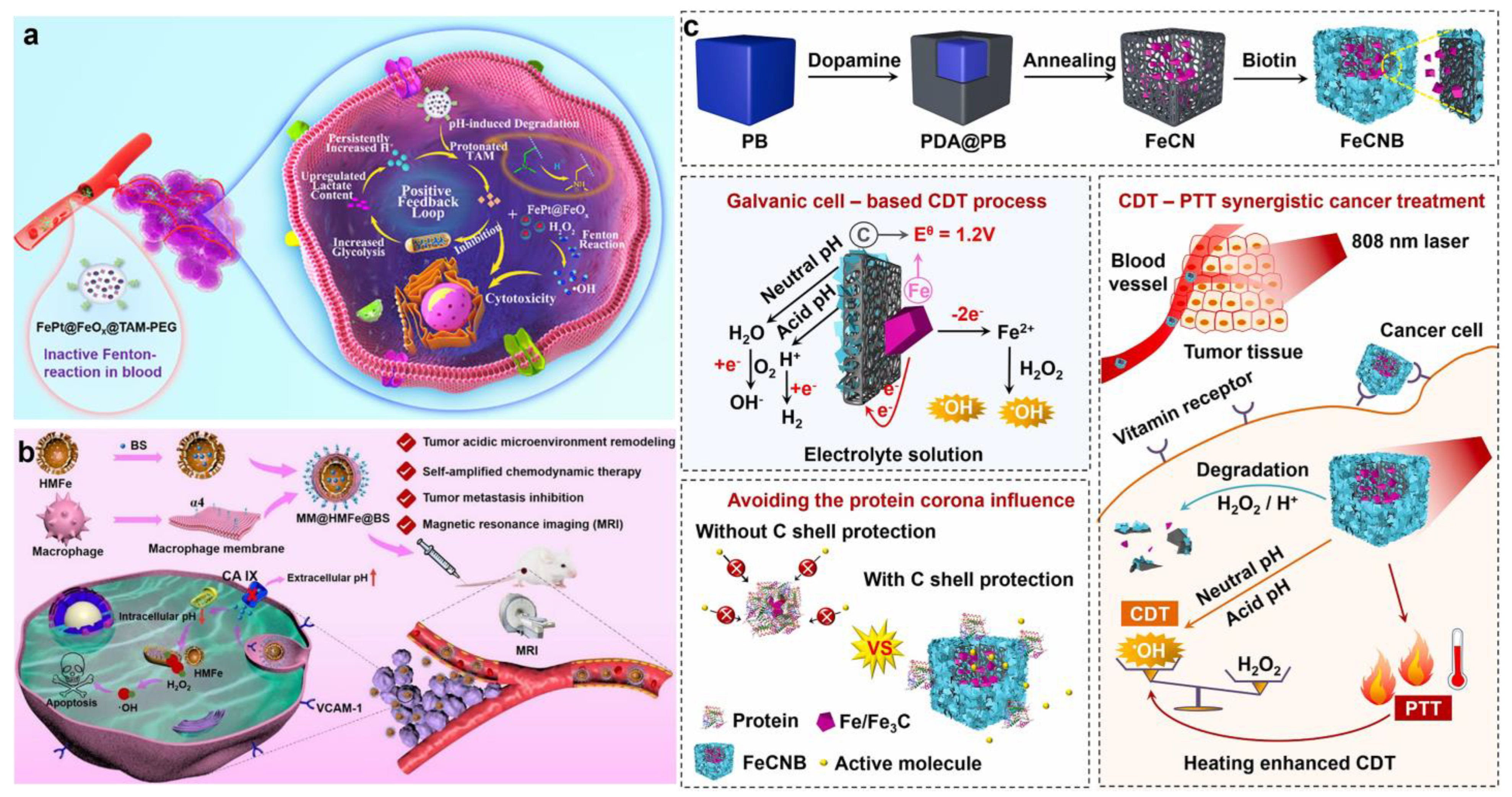 Bioengineering 10 00925 g011 Bioengineering 10 00925 g011
