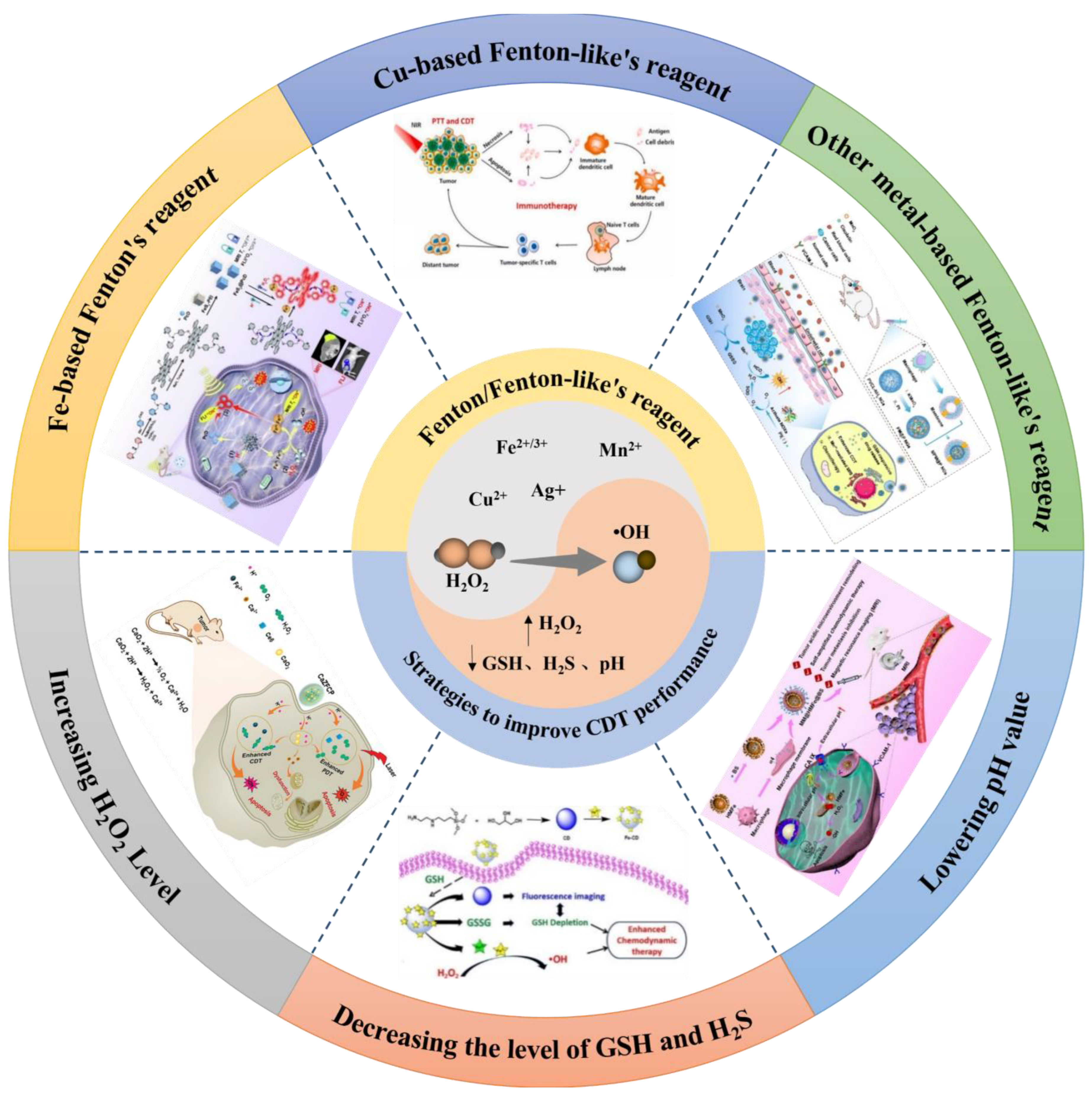 Bioengineering 10 00925 sch001 Bioengineering 10 00925 sch001