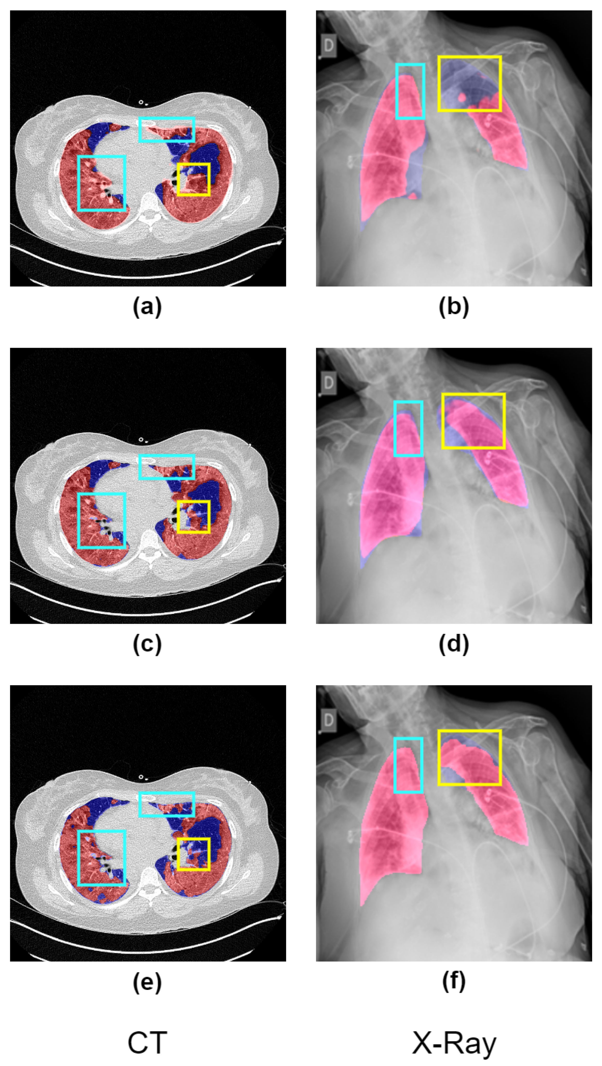 Bioengineering 10 00928 g001 Bioengineering 10 00928 g001