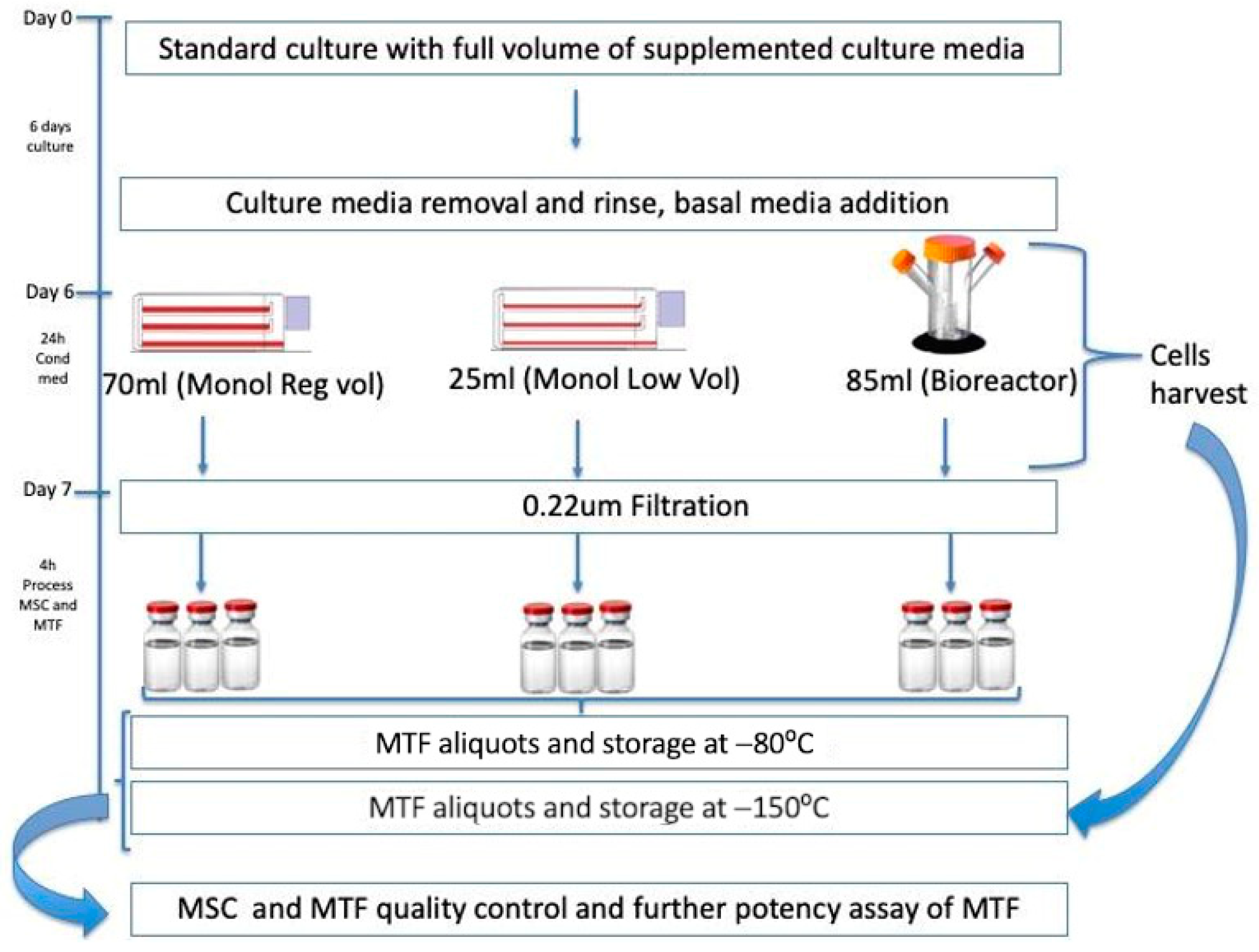 Bioengineering 10 00930 g001