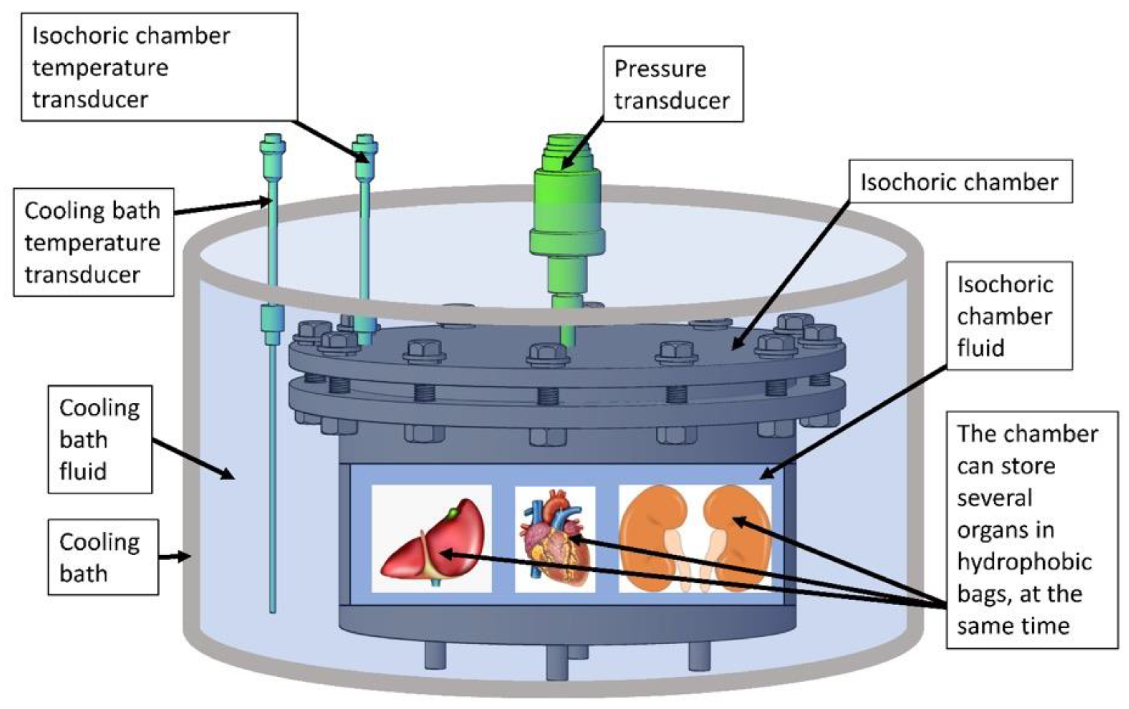 Bioengineering 10 00934 g002 Bioengineering 10 00934 g002