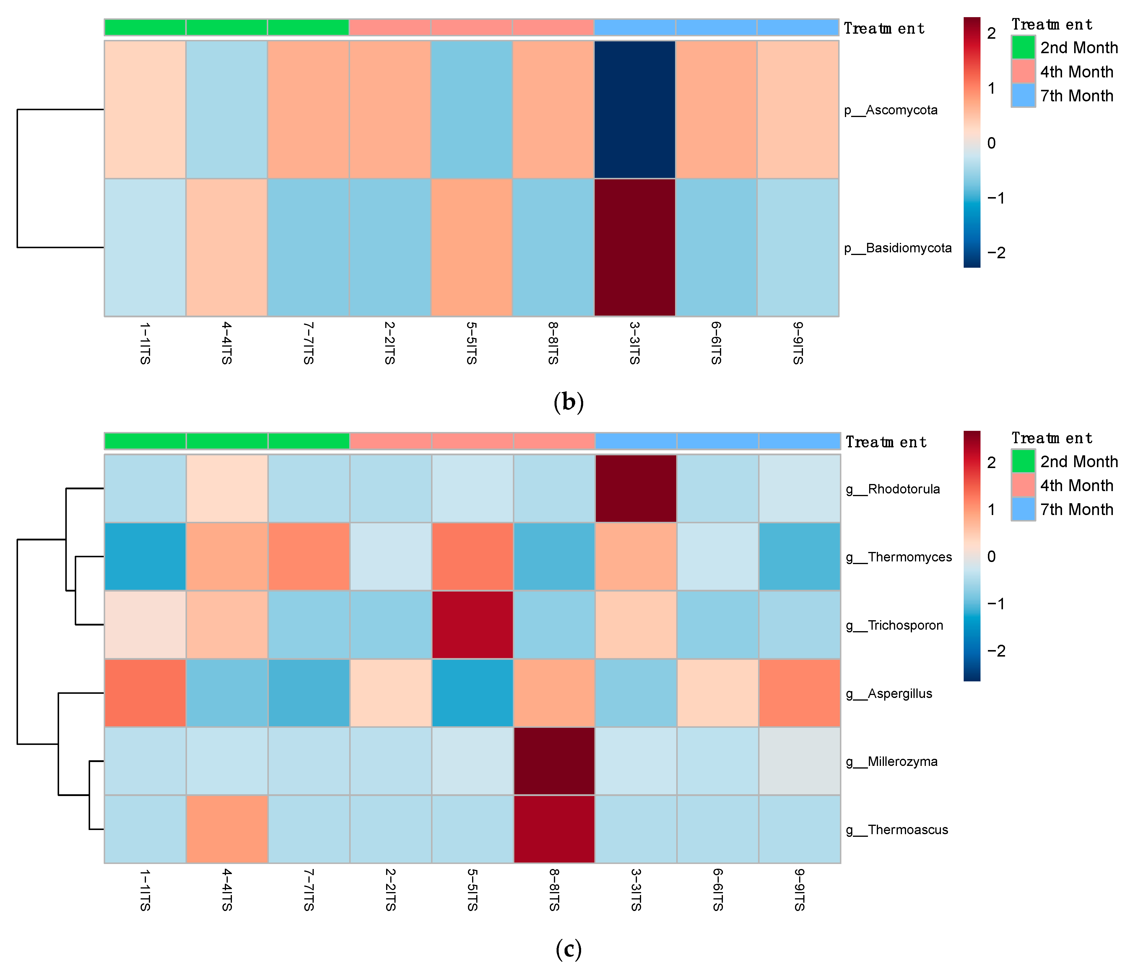 Bioengineering 10 00938 g007b