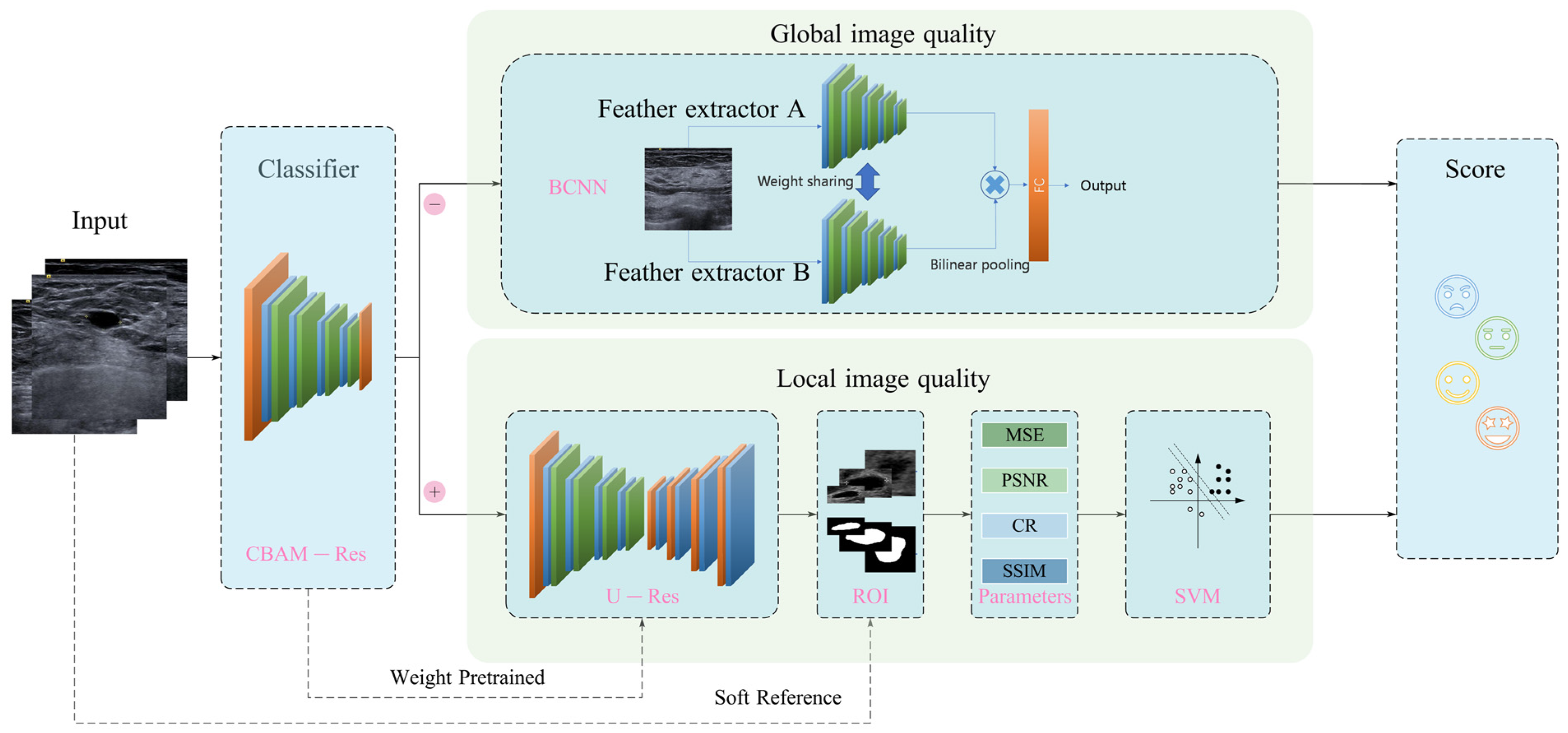 Bioengineering 10 00940 g001