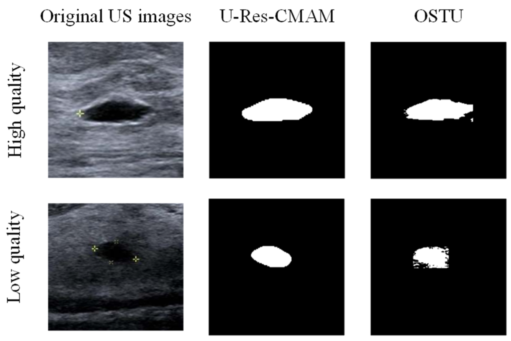 Bioengineering 10 00940 g004
