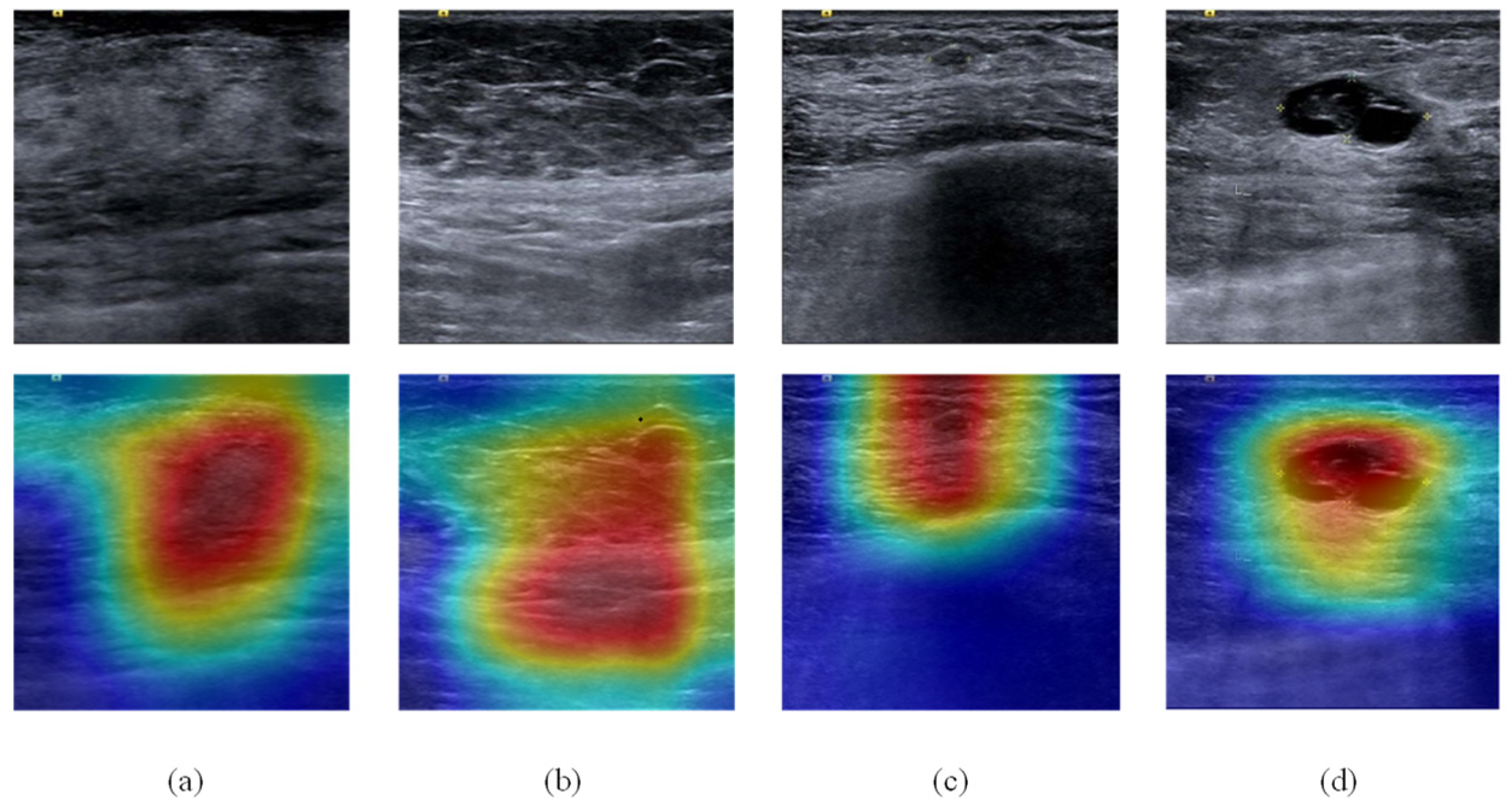 Bioengineering 10 00940 g005