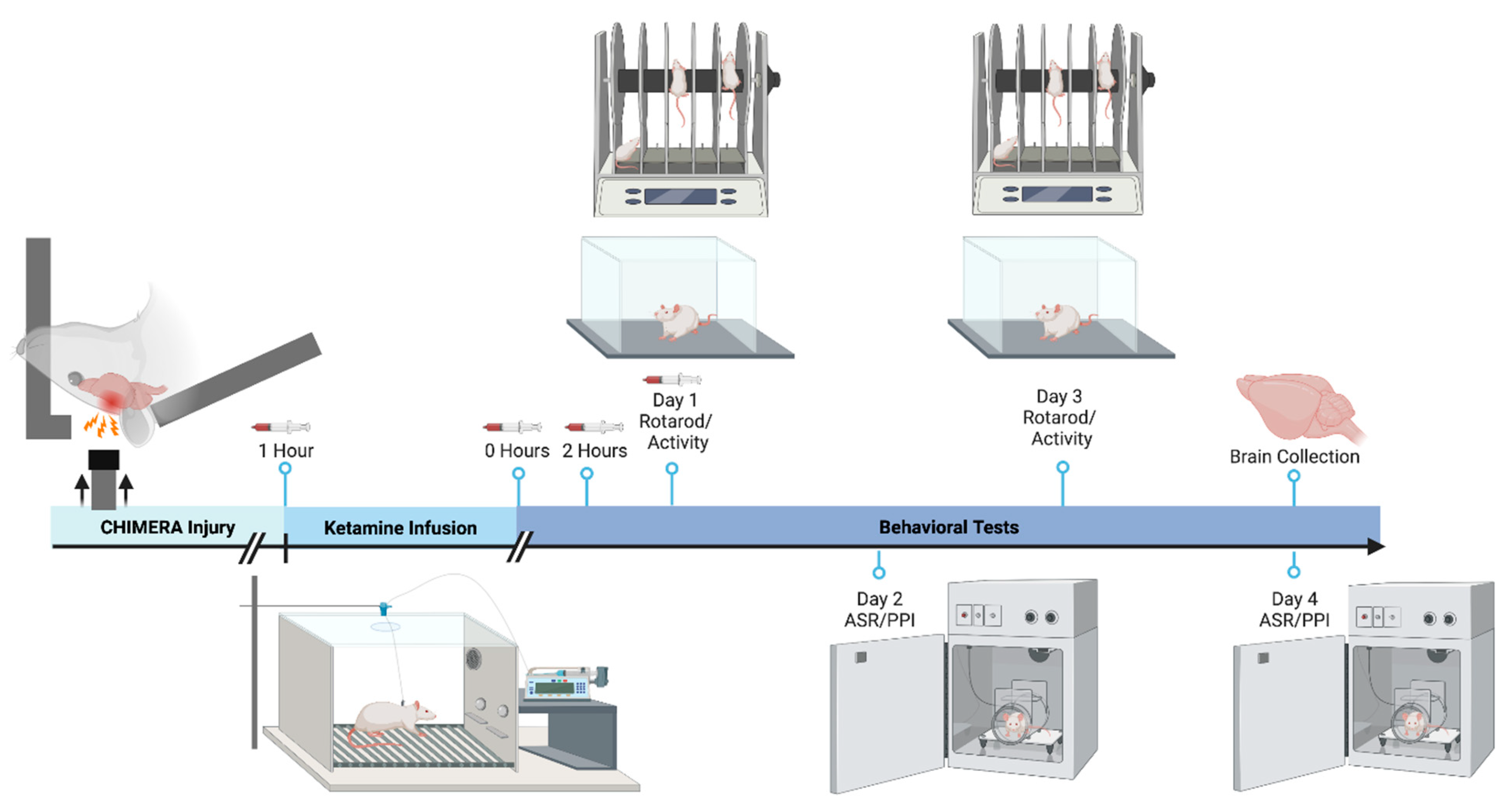 Bioengineering 10 00941 g001