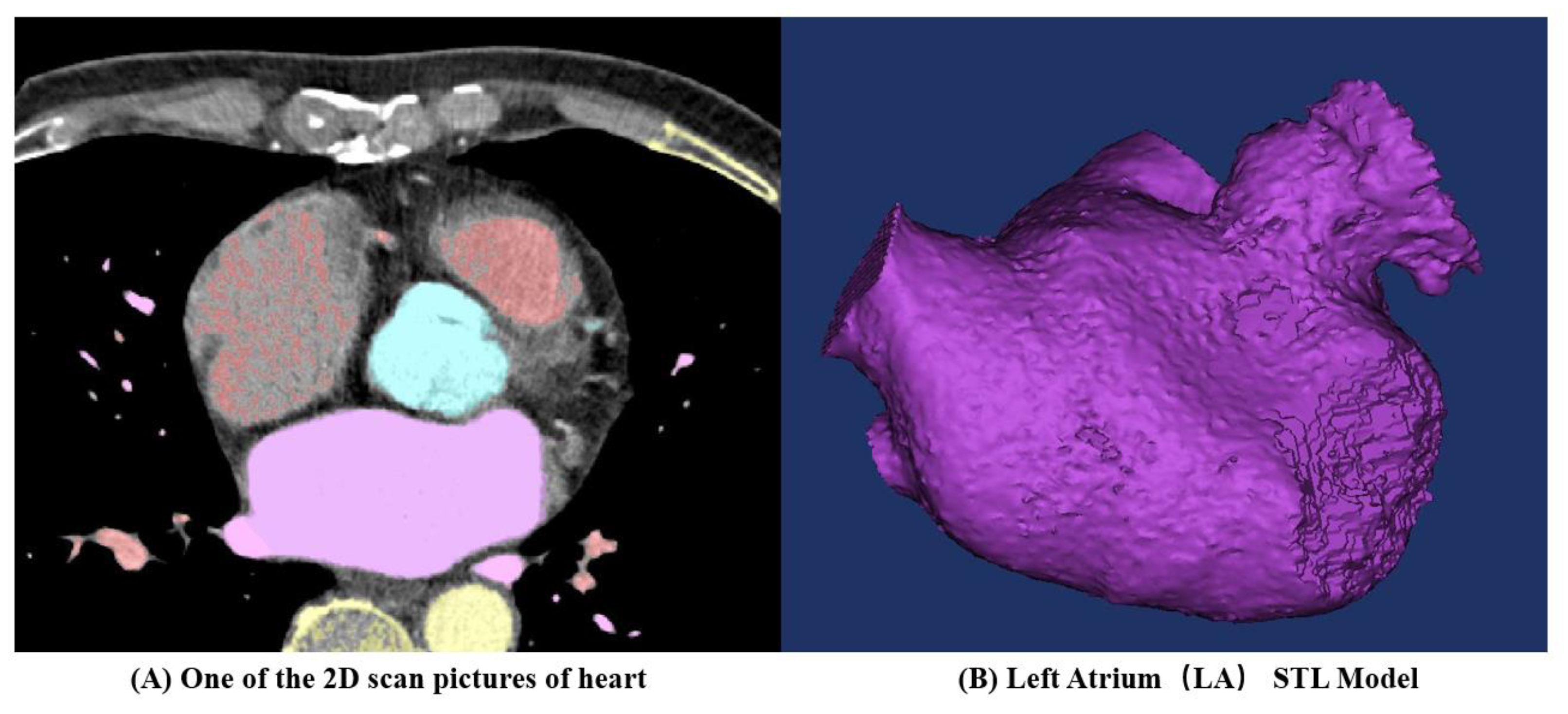 Bioengineering 10 00944 g001