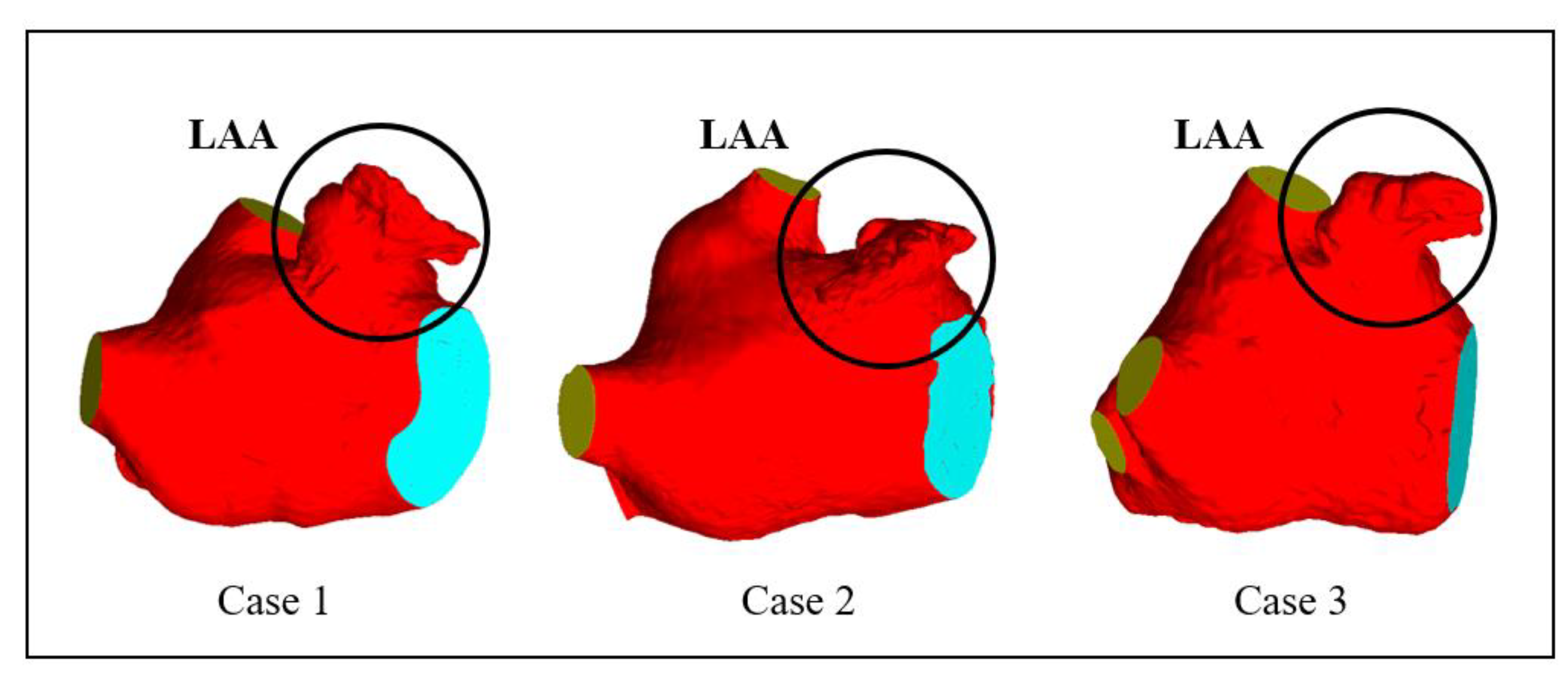 Bioengineering 10 00944 g002