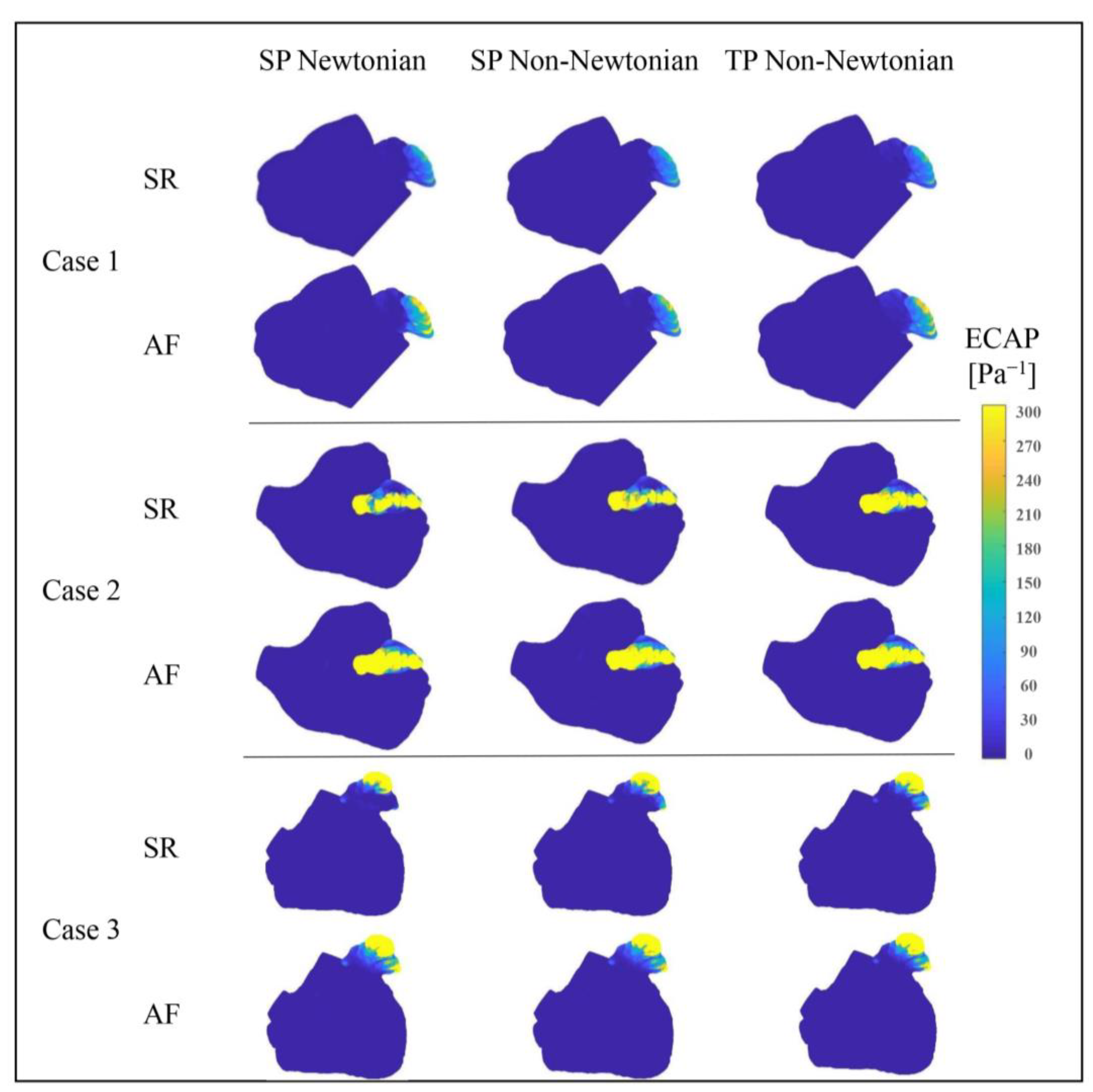 Bioengineering 10 00944 g017