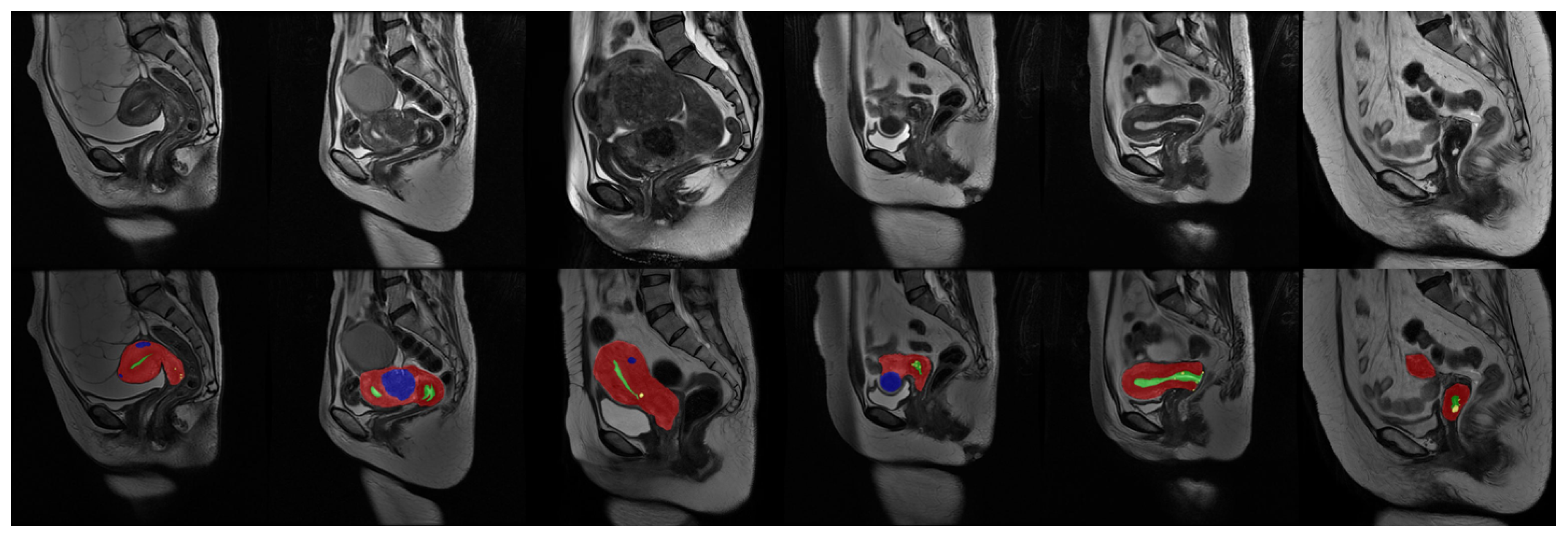 Bioengineering 10 00945 g006