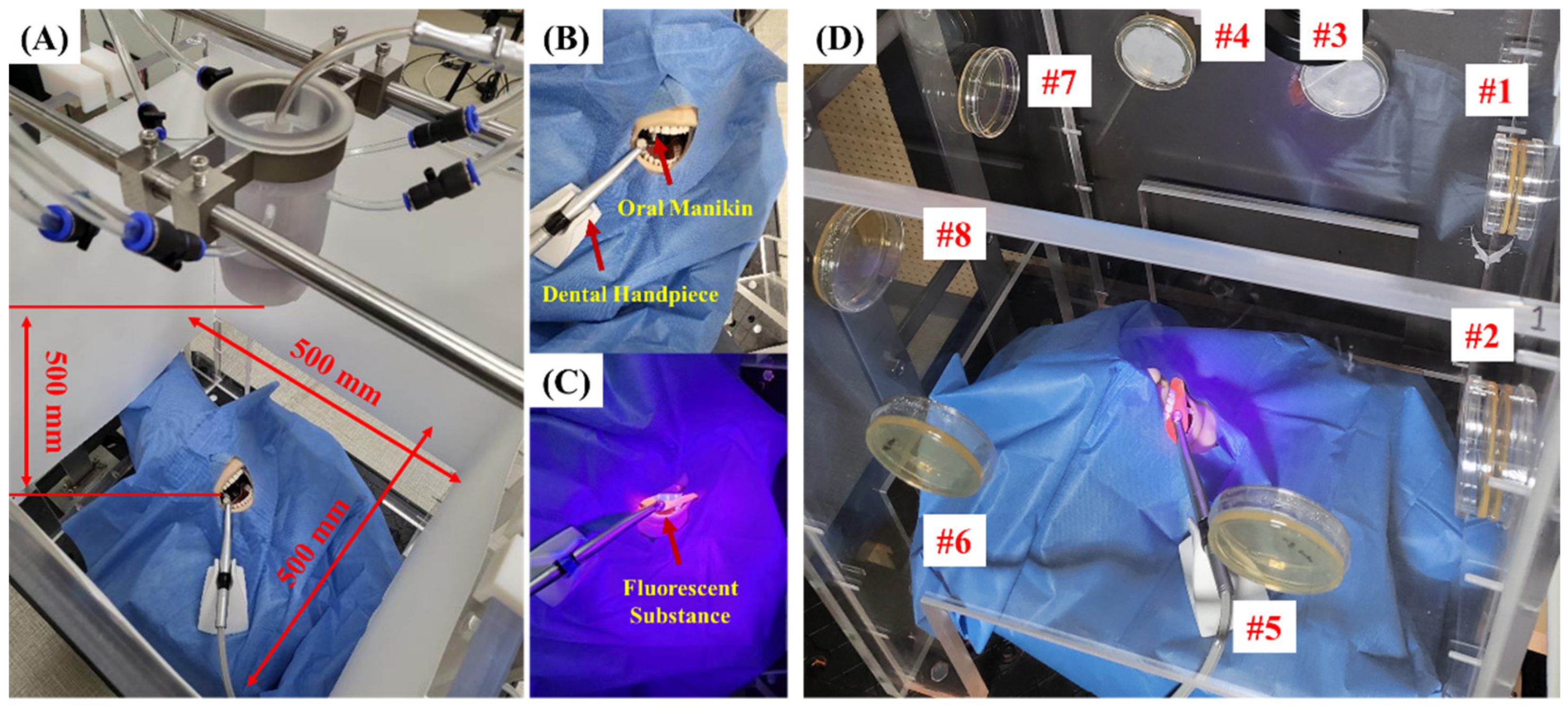 Bioengineering 10 00947 g002