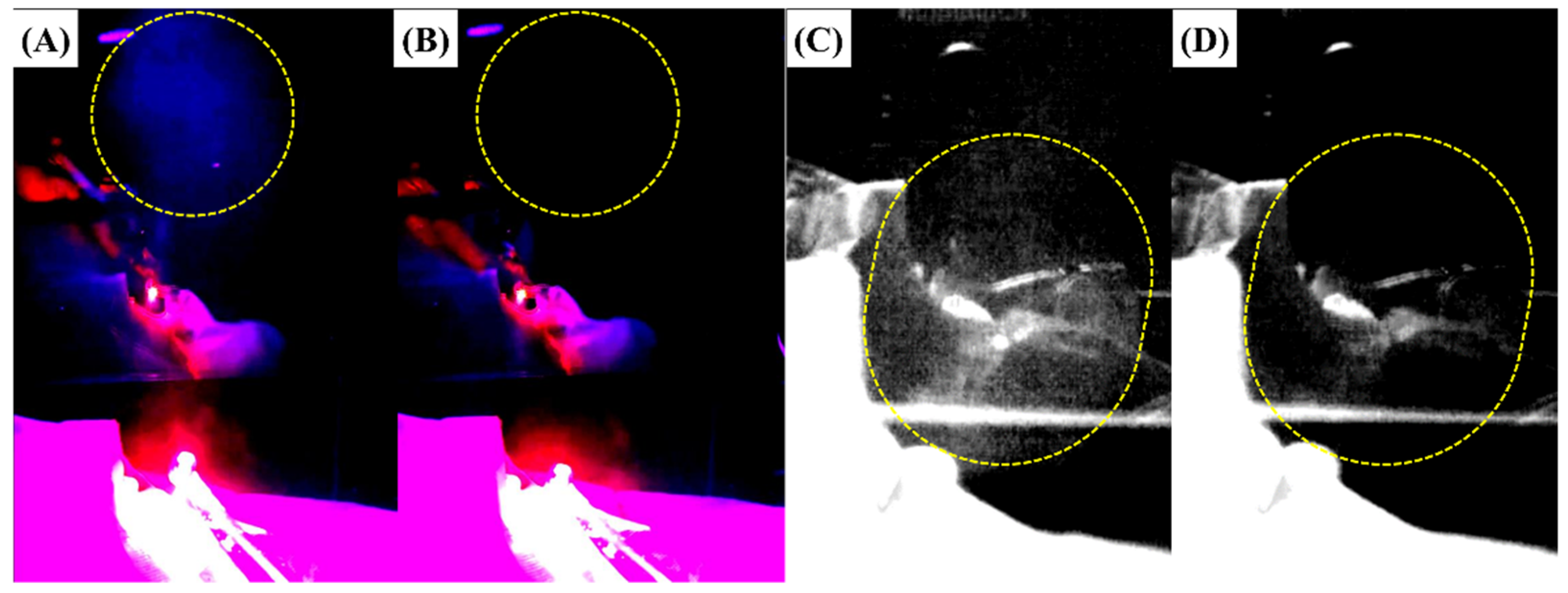 Bioengineering 10 00947 g007