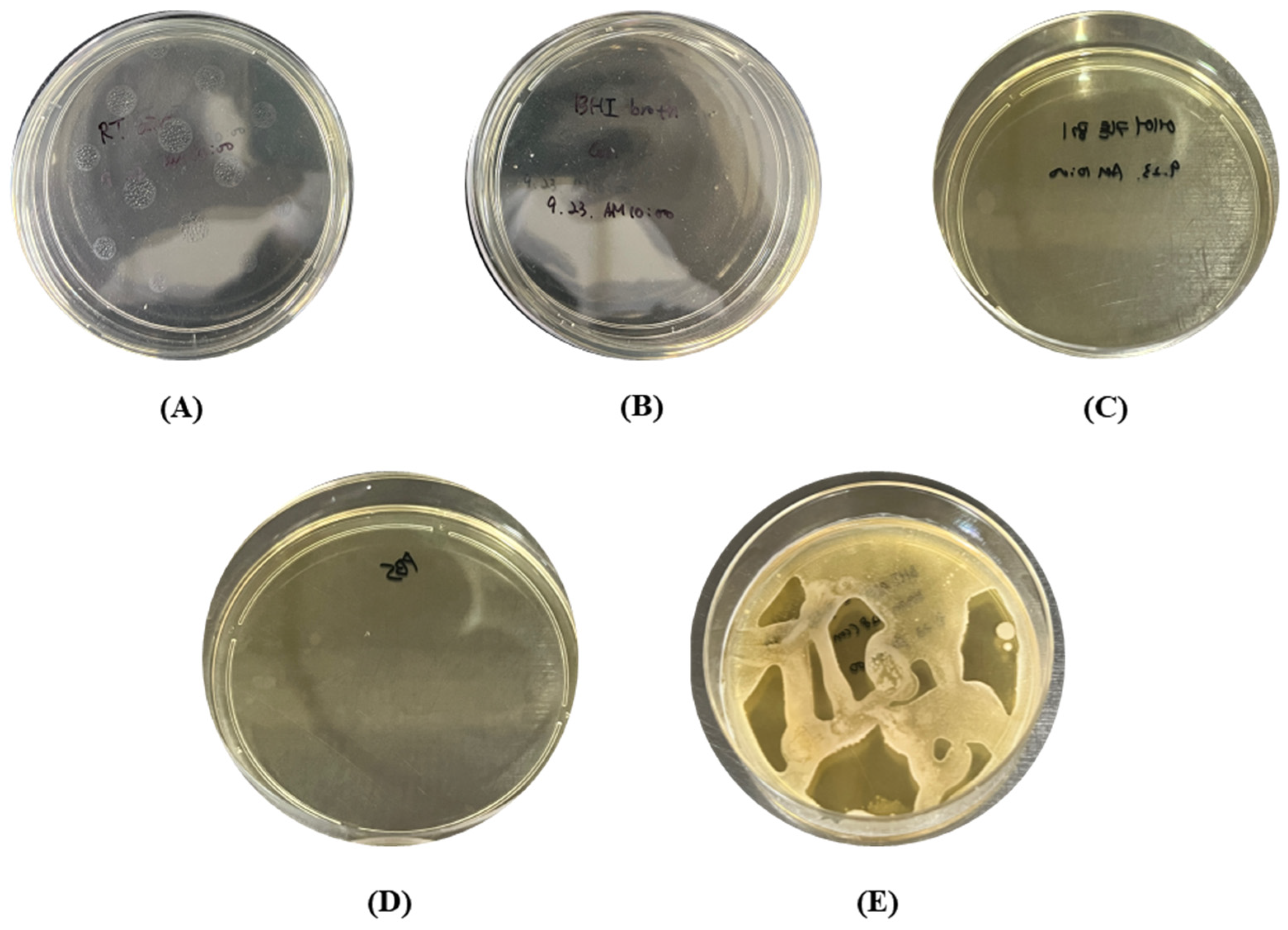 Bioengineering 10 00947 g008