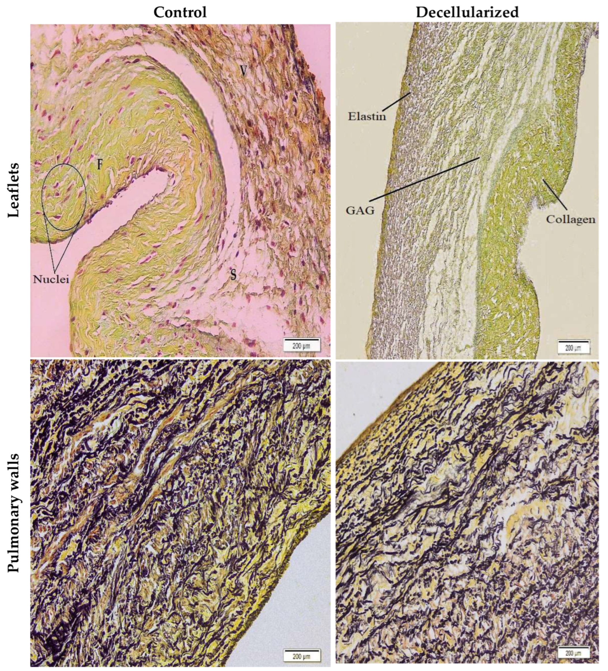 Bioengineering 10 00949 g005 Bioengineering 10 00949 g005