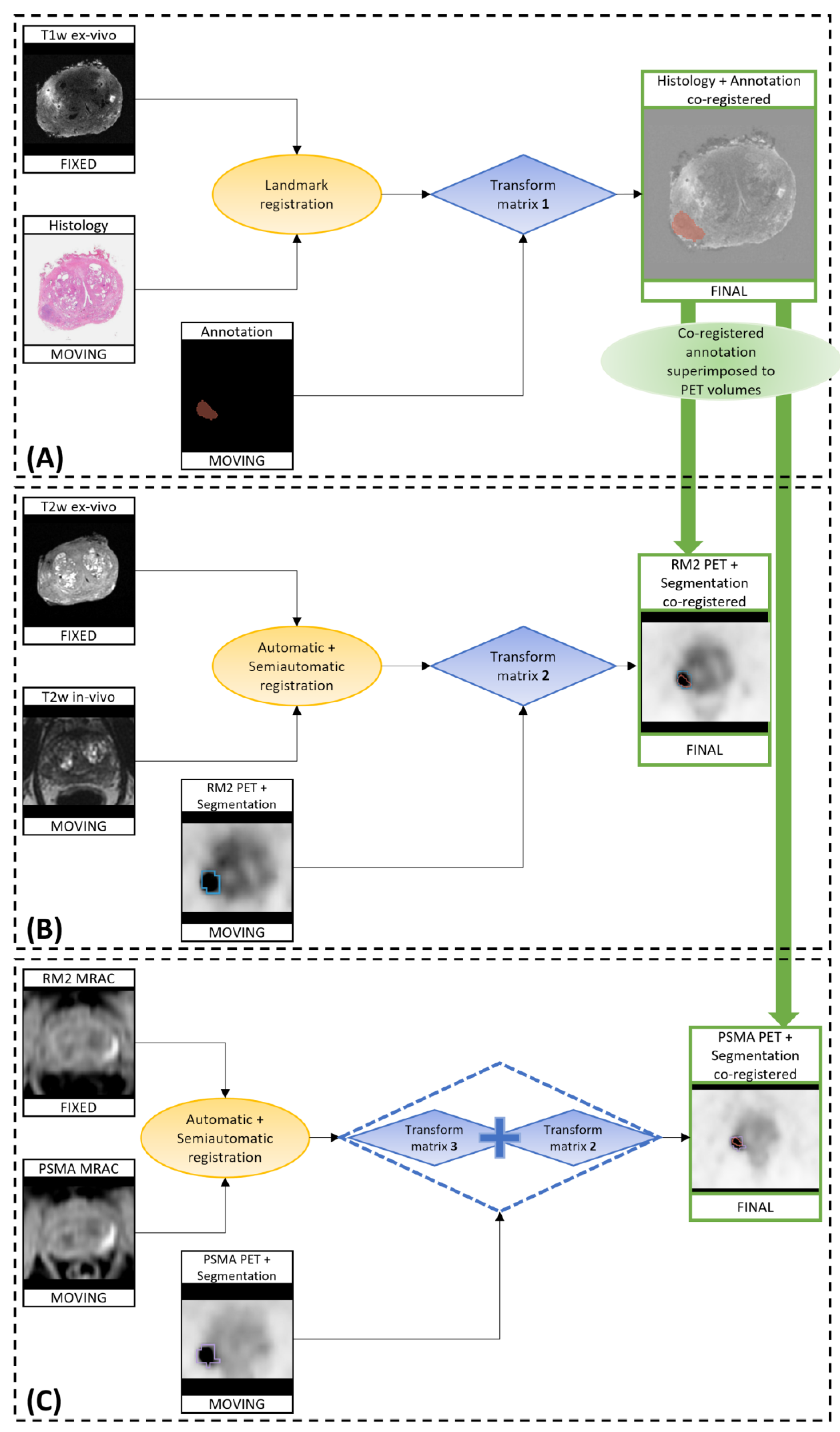 Bioengineering 10 00953 g001