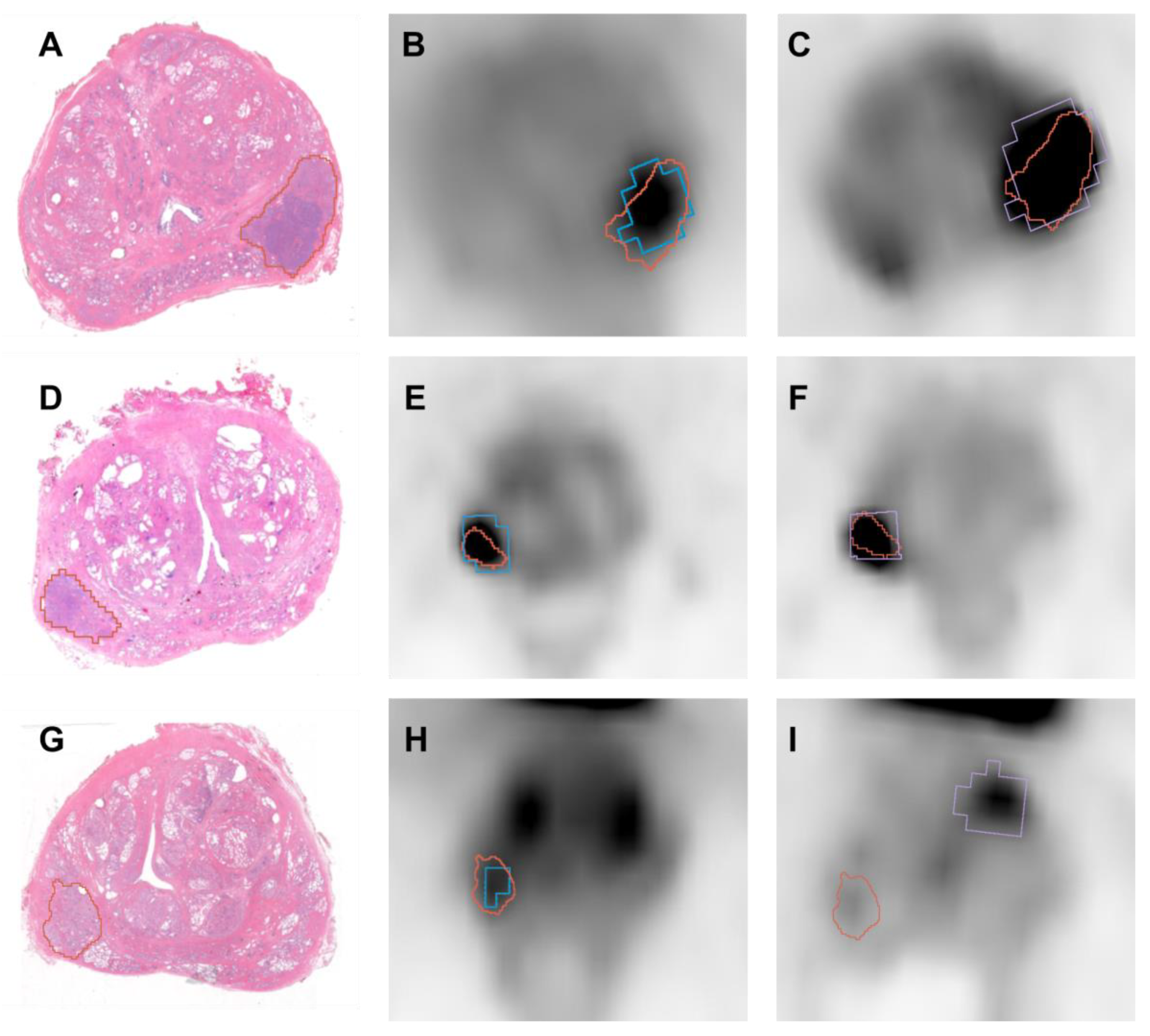 Bioengineering 10 00953 g005