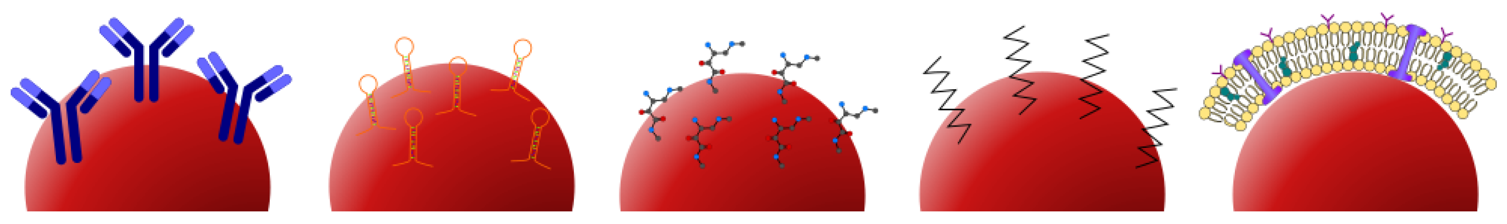 Bioengineering 10 00954 g004