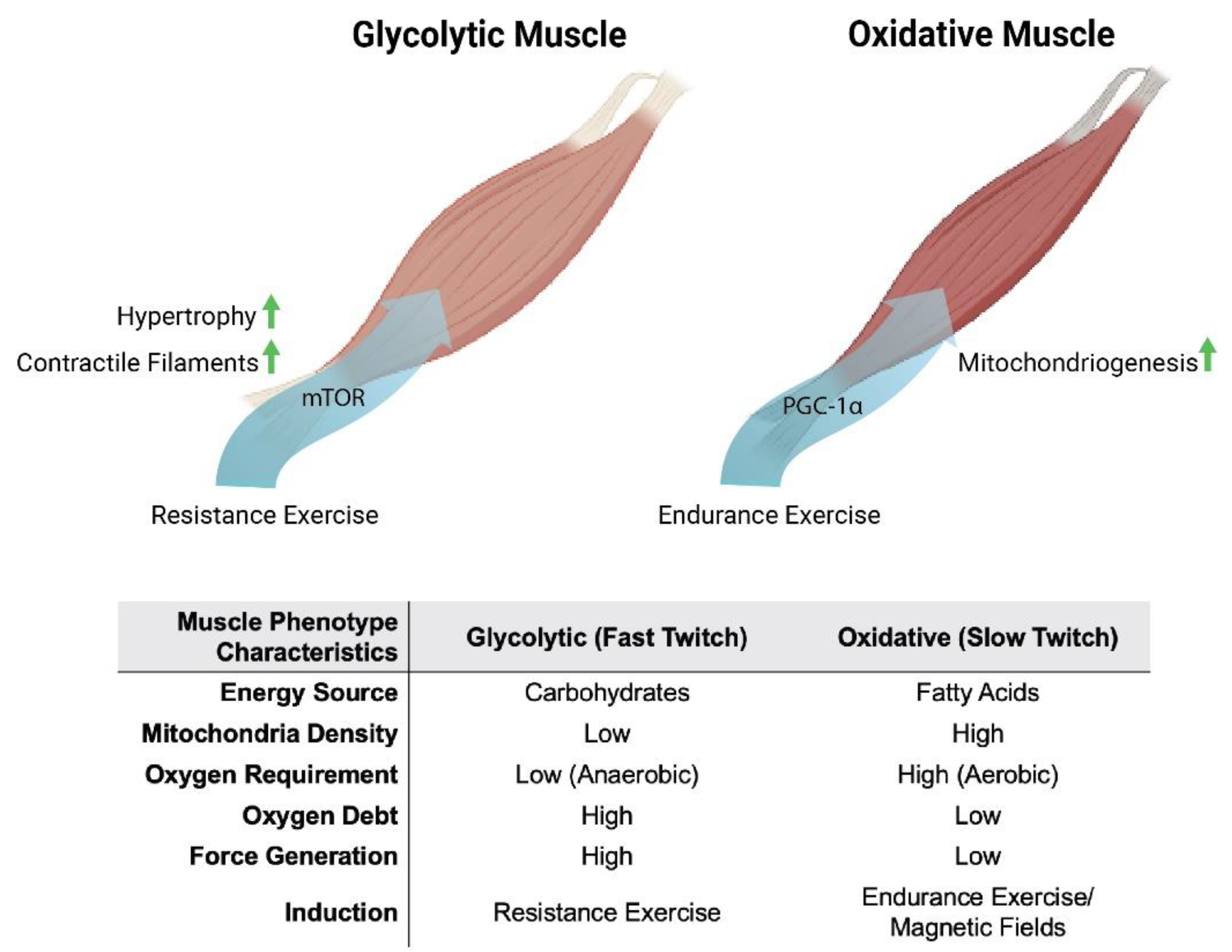 Bioengineering 10 00956 g001 Bioengineering 10 00956 g001