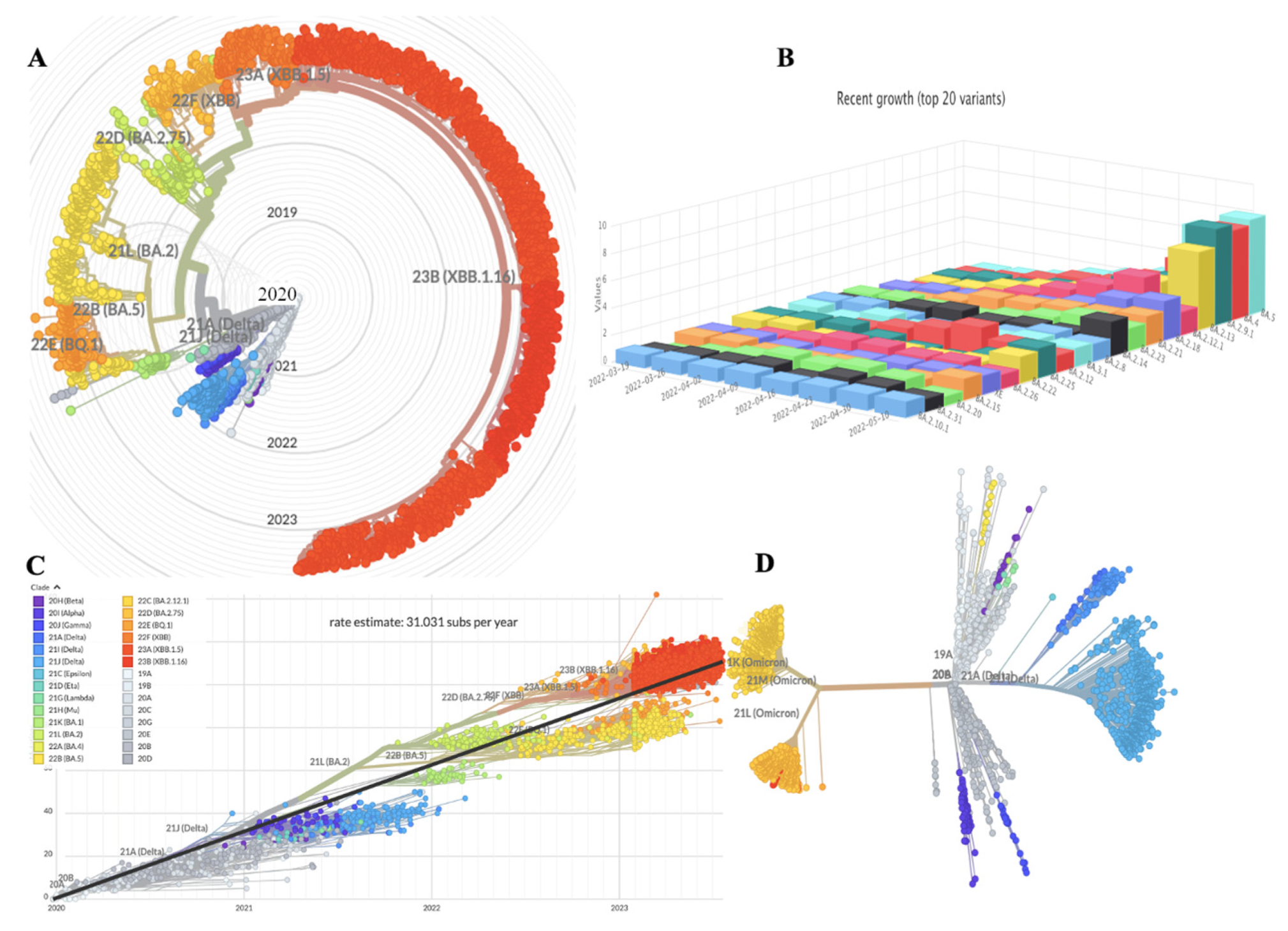 Bioengineering 10 00961 g001