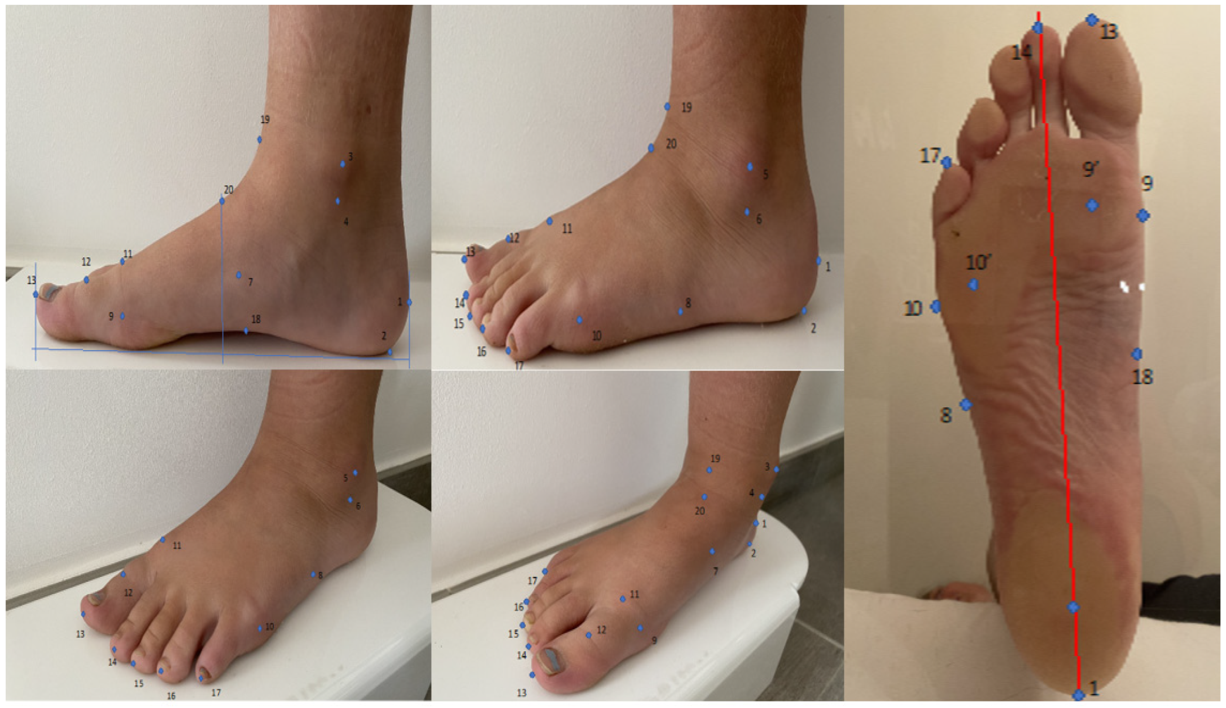 Bioengineering 10 00968 g001