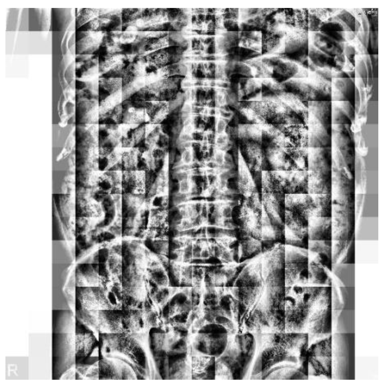 Bioengineering 10 00970 g005