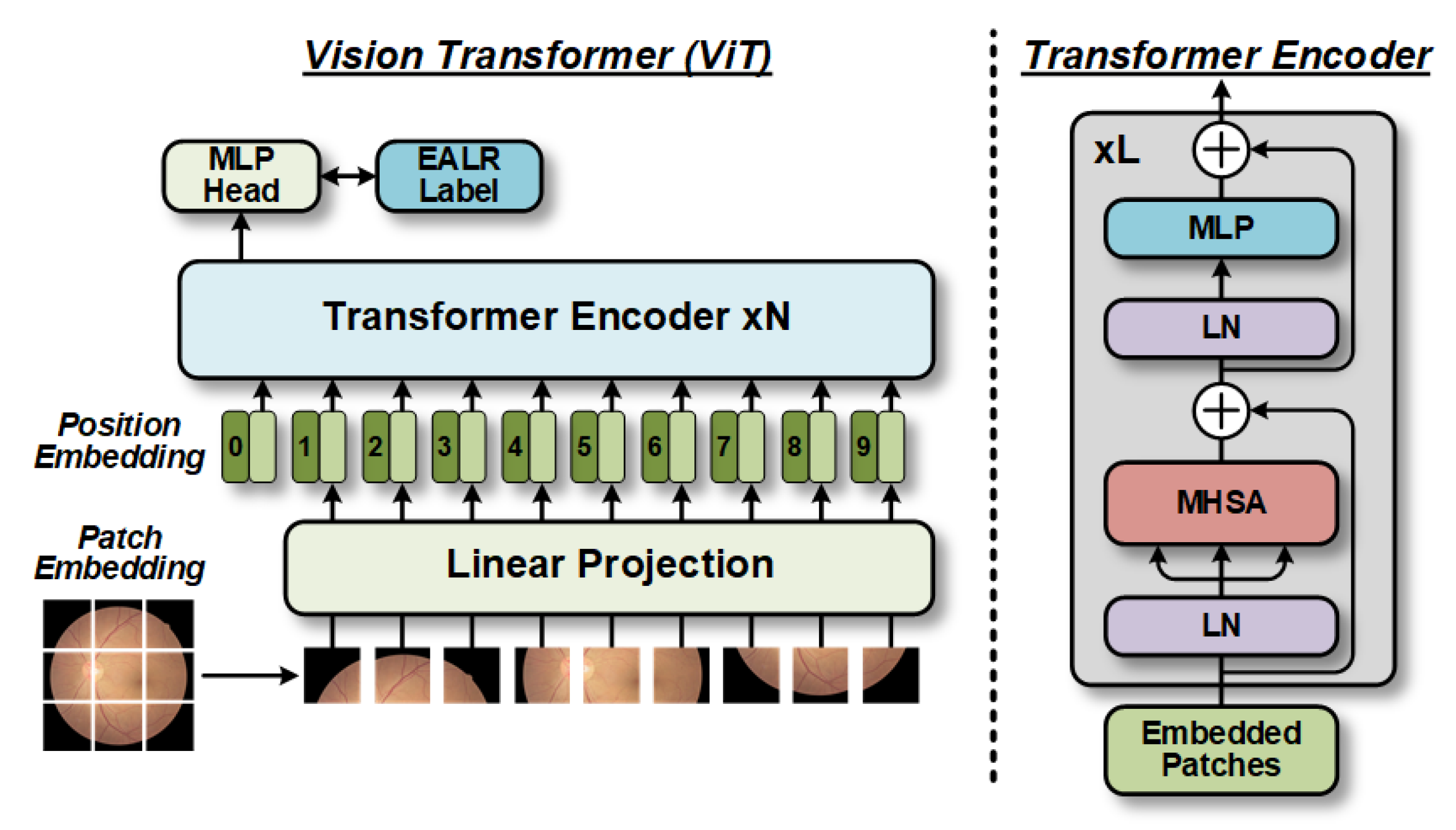 Bioengineering 10 00971 g002