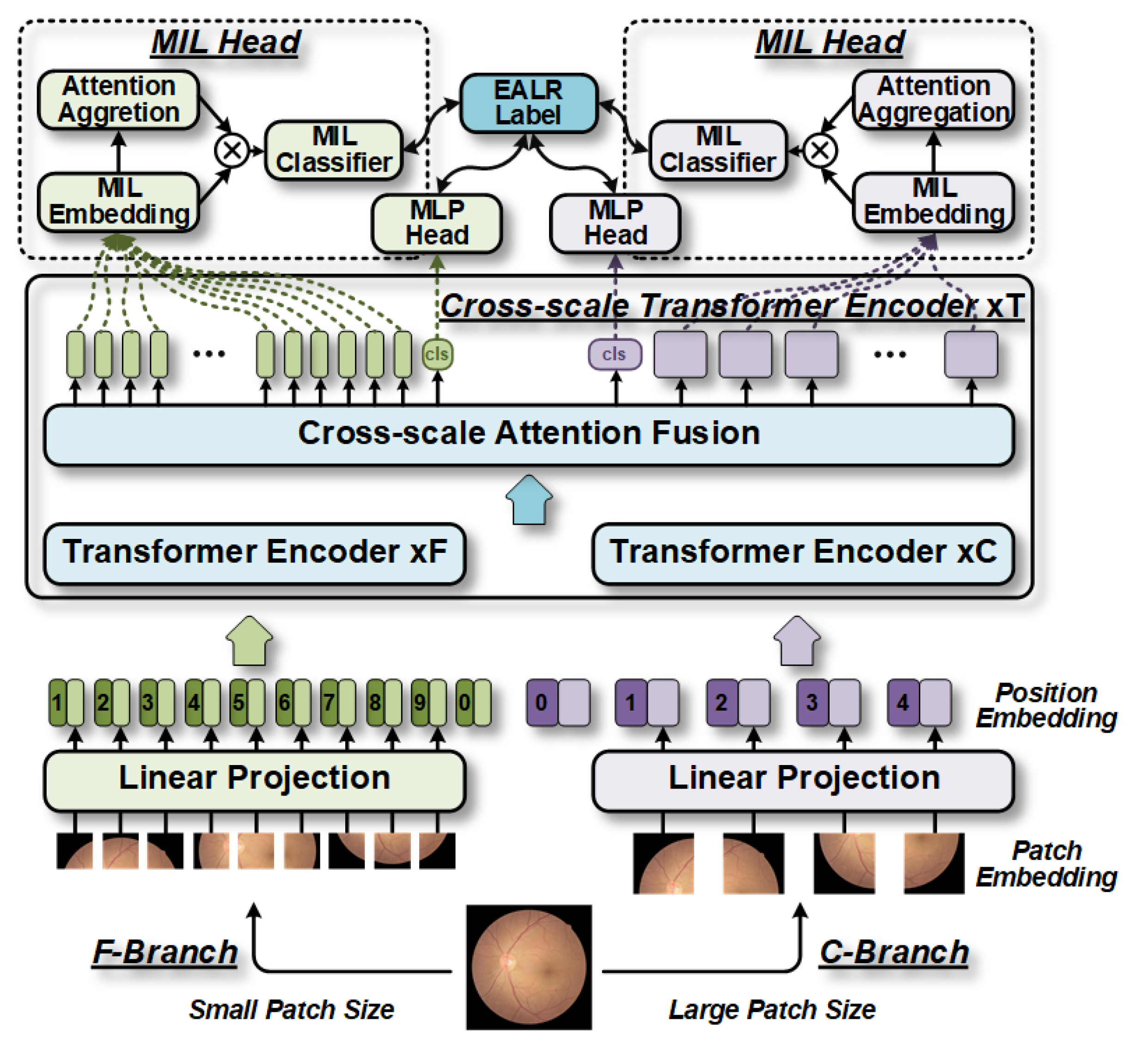 Bioengineering 10 00971 g003