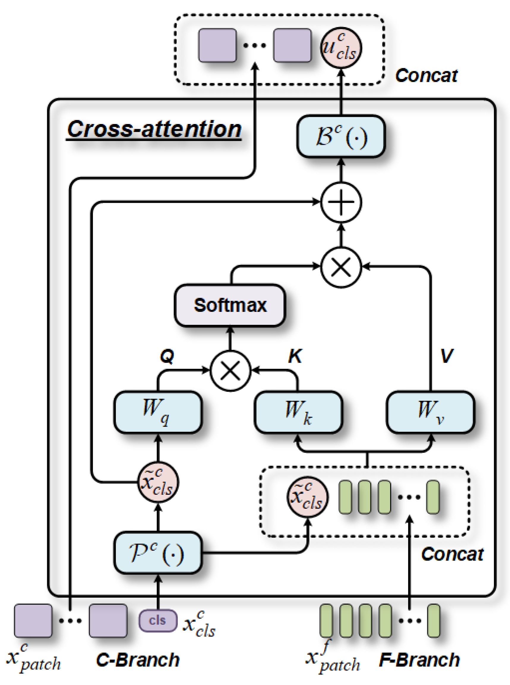 Bioengineering 10 00971 g004