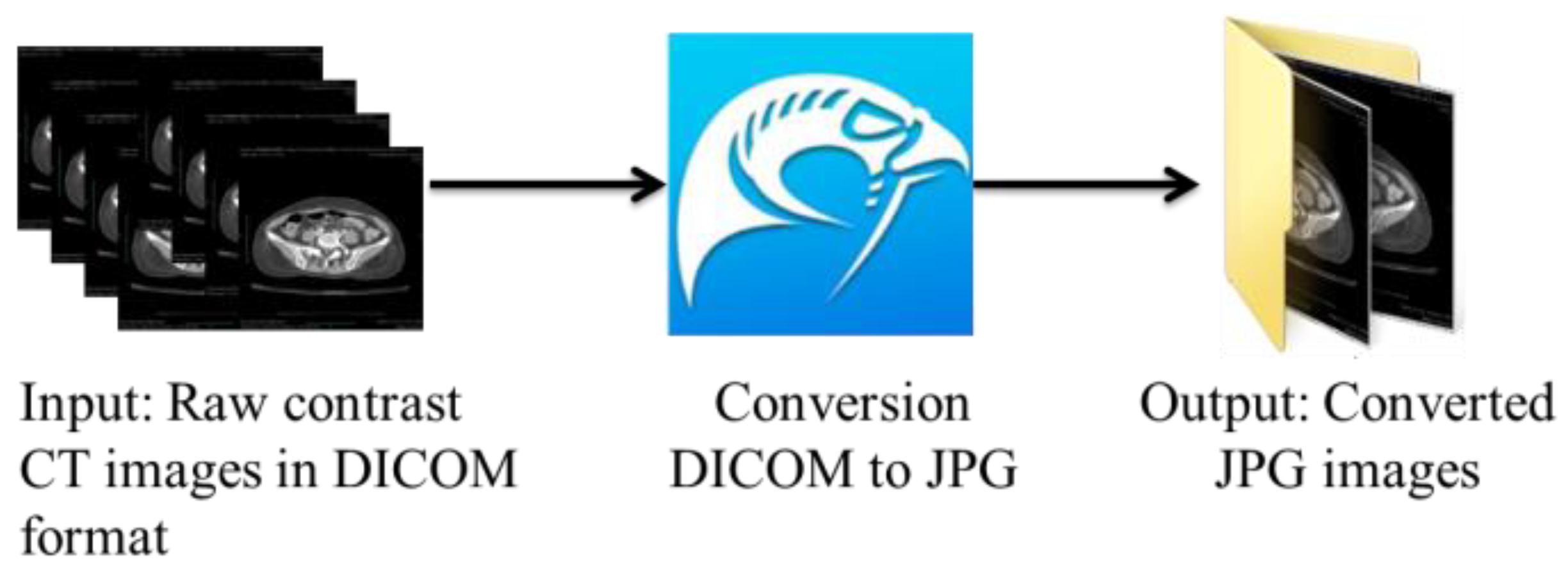 Bioengineering 10 00972 g002