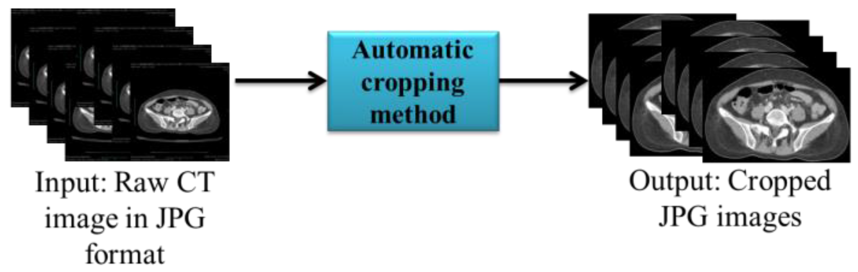 Bioengineering 10 00972 g003