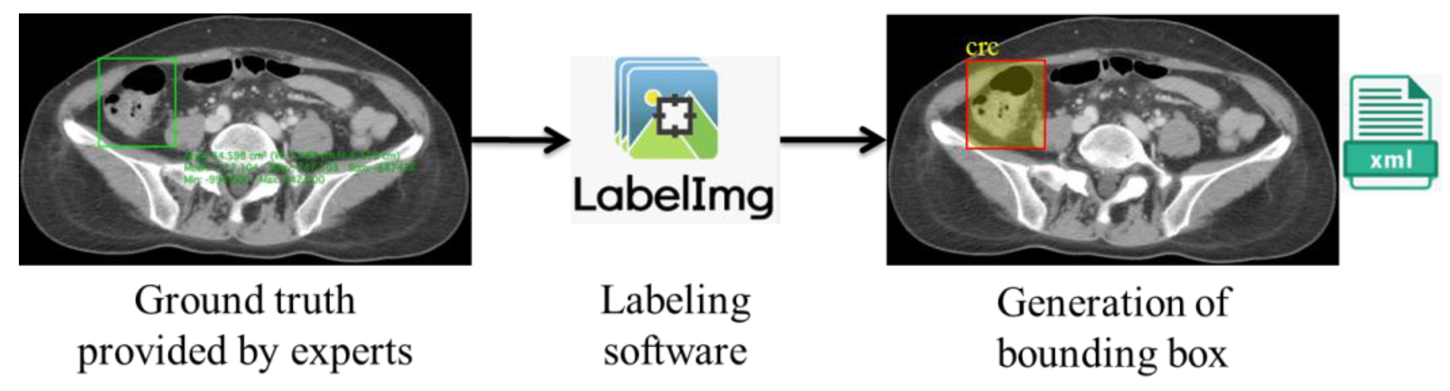 Bioengineering 10 00972 g004