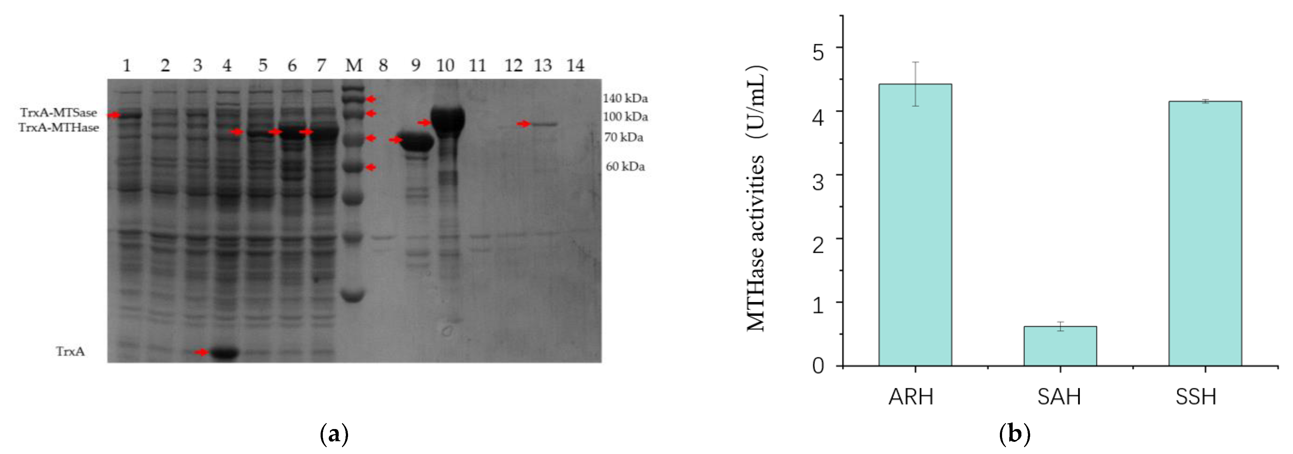 Bioengineering 10 00977 g001