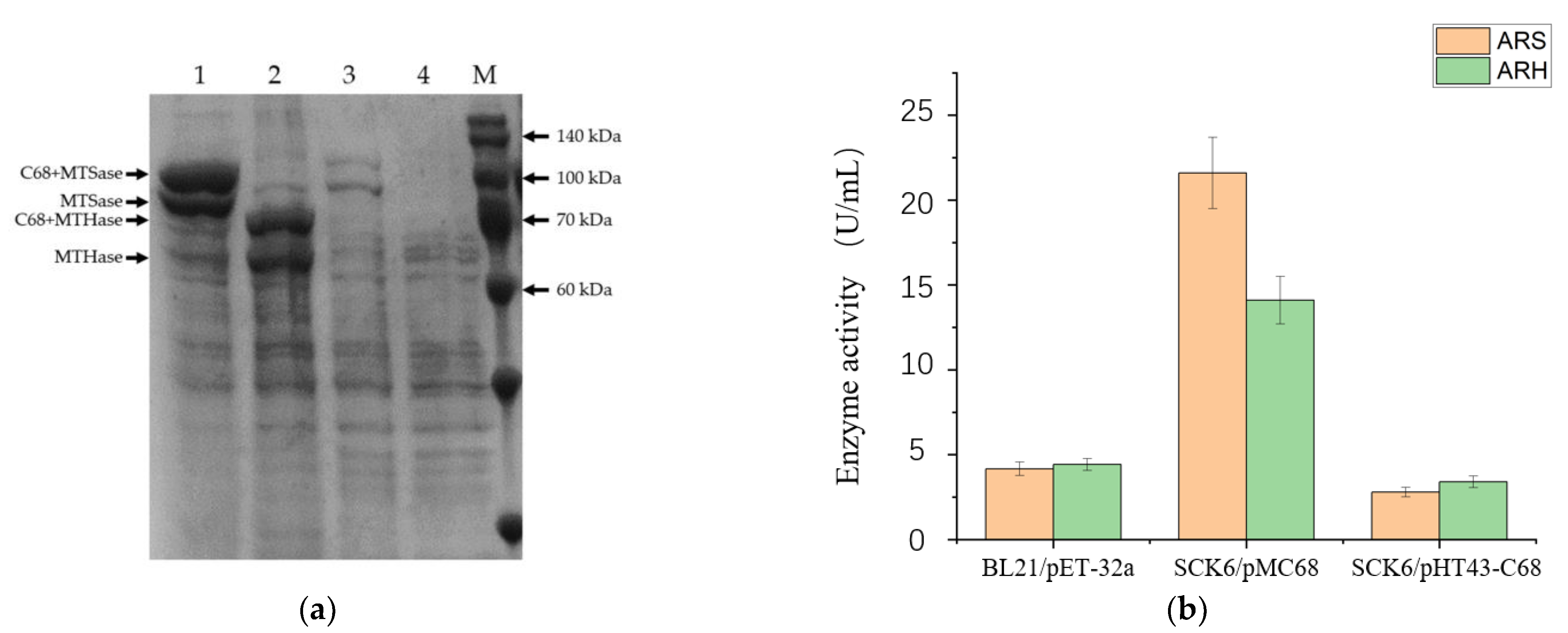 Bioengineering 10 00977 g002