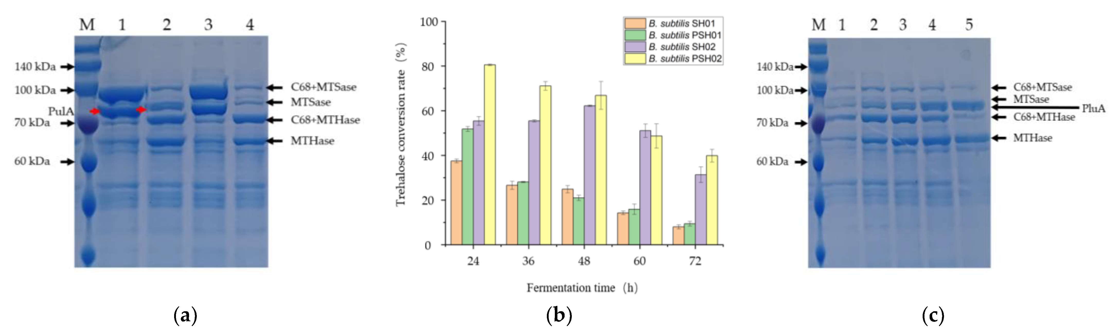 Bioengineering 10 00977 g004