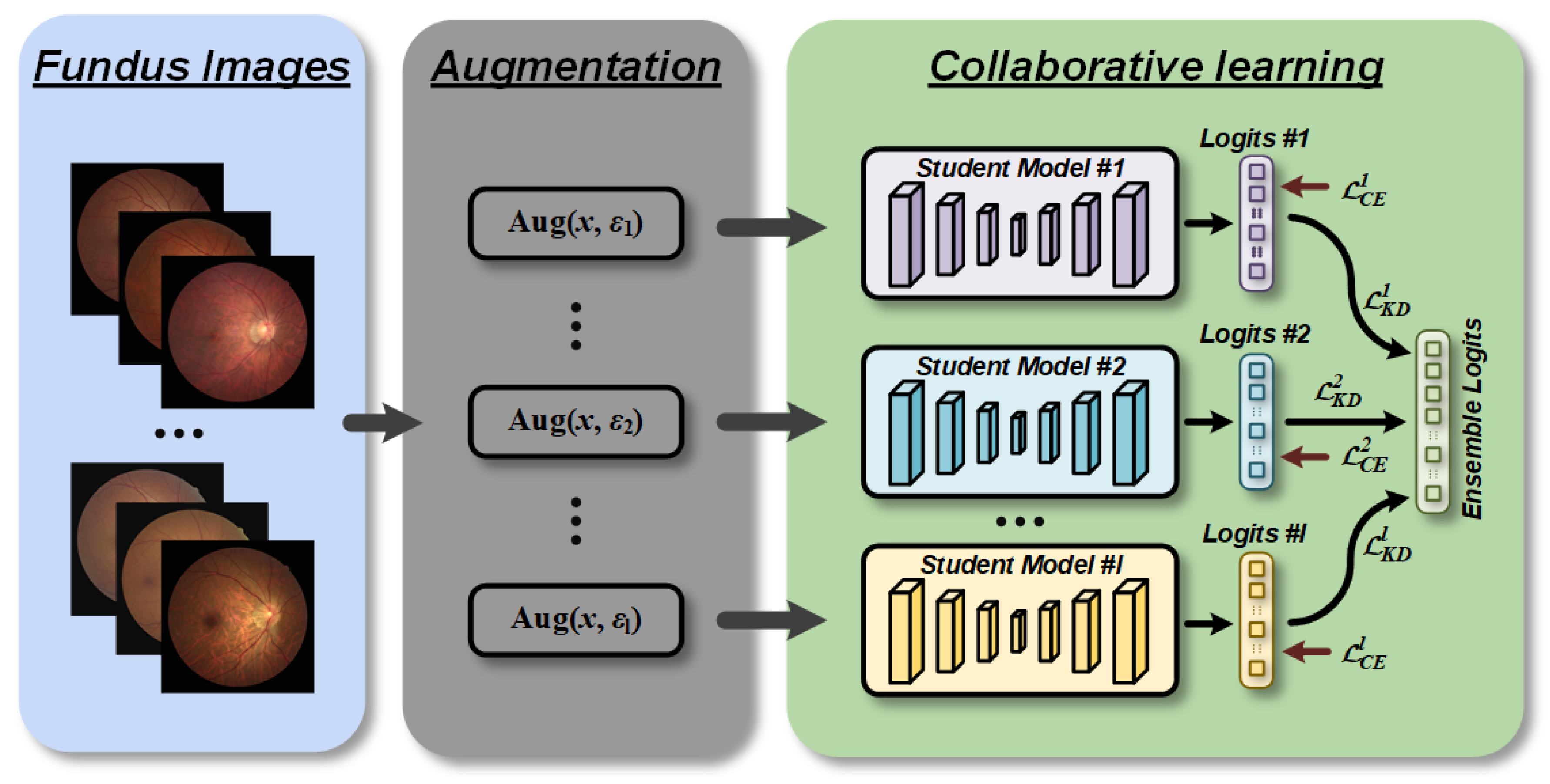Bioengineering 10 00978 g002