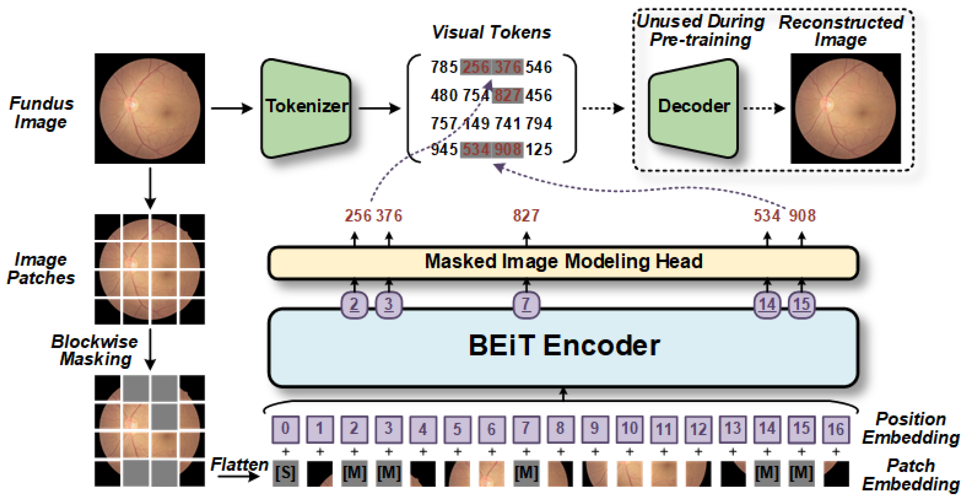 Bioengineering 10 00978 g004
