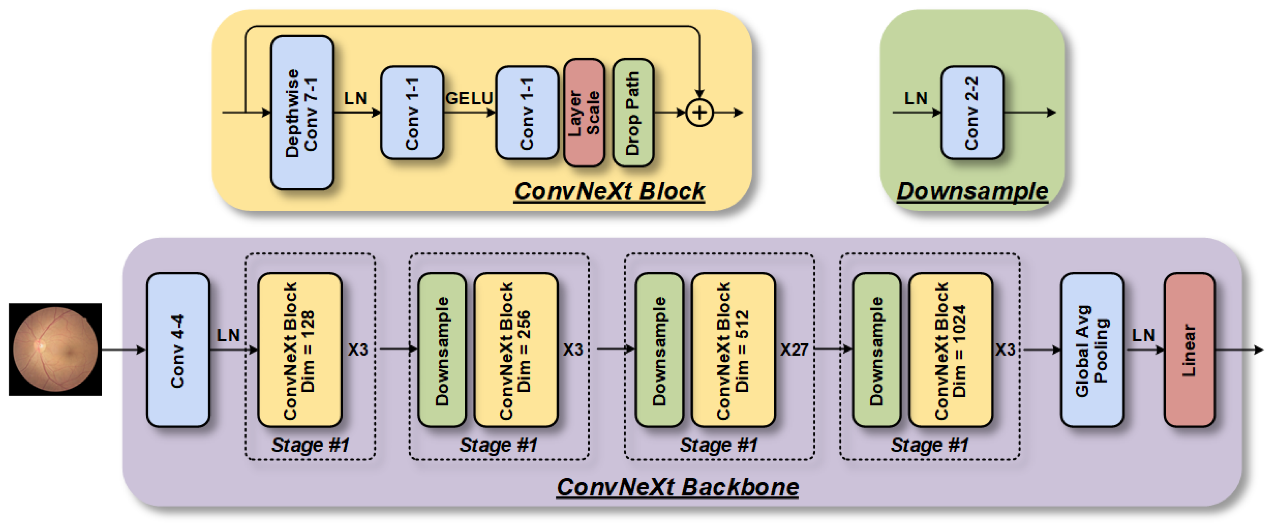 Bioengineering 10 00978 g005